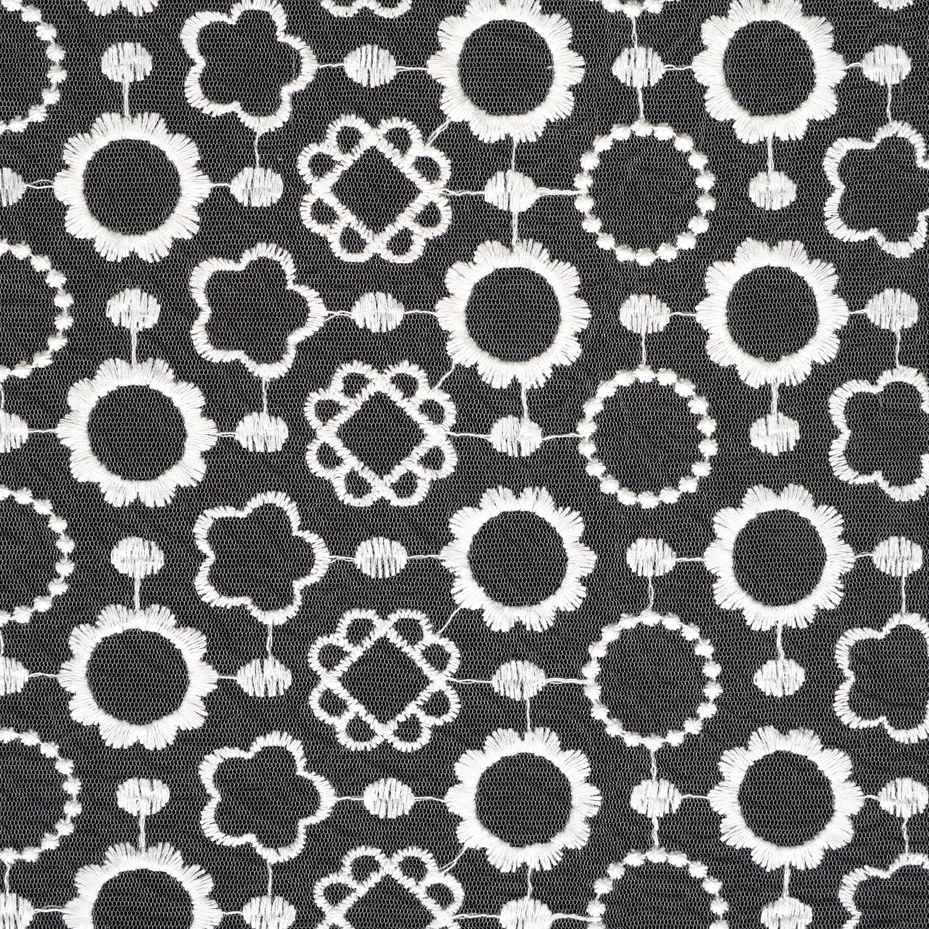 Spitze, Baumwolle Mix, Floral, Lucent White (C0003160) - Gewebe