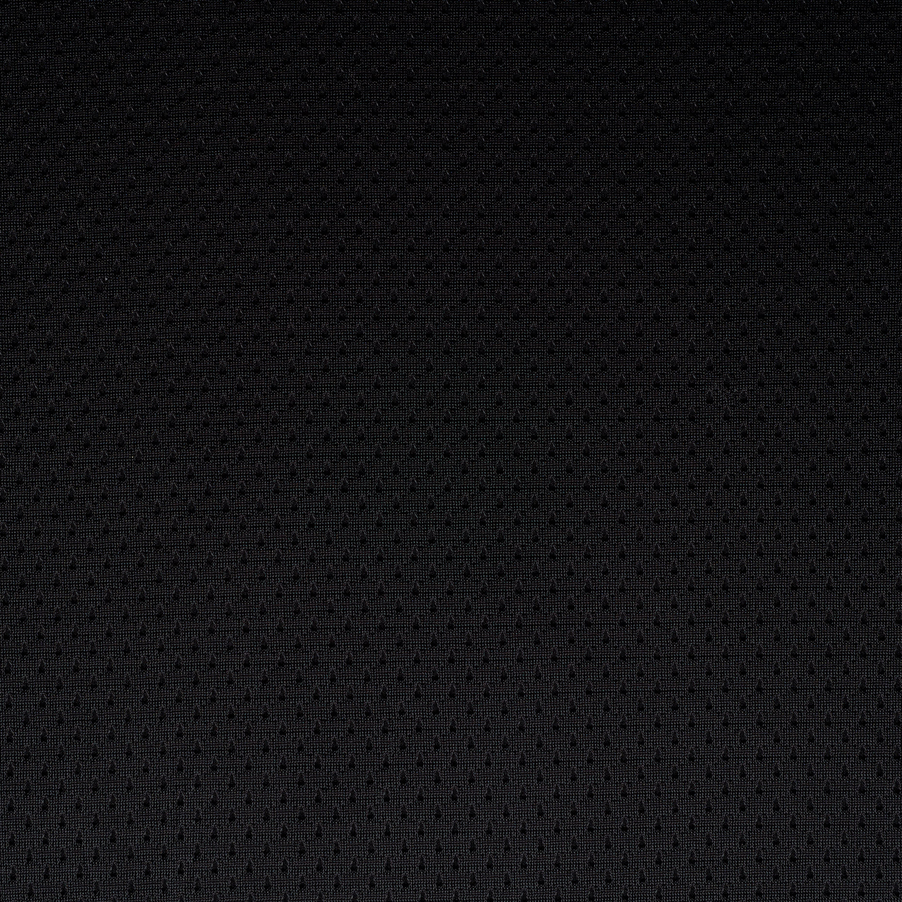 Mesh, Raven Black (F000041158) - Tejido