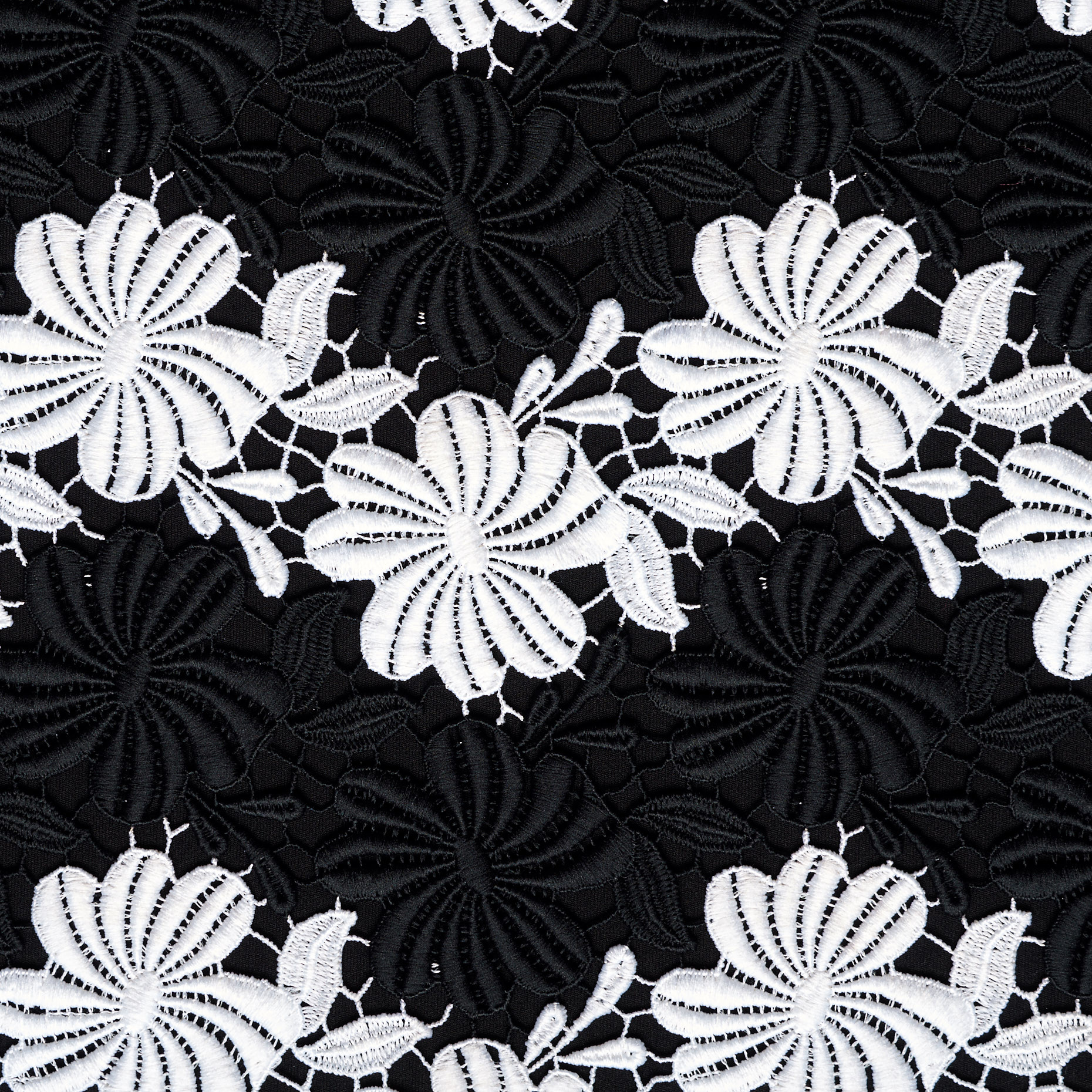 LACE, FLORAL, RAVEN BLACK&BRILLIANT WHITE (F000037650) - Texture