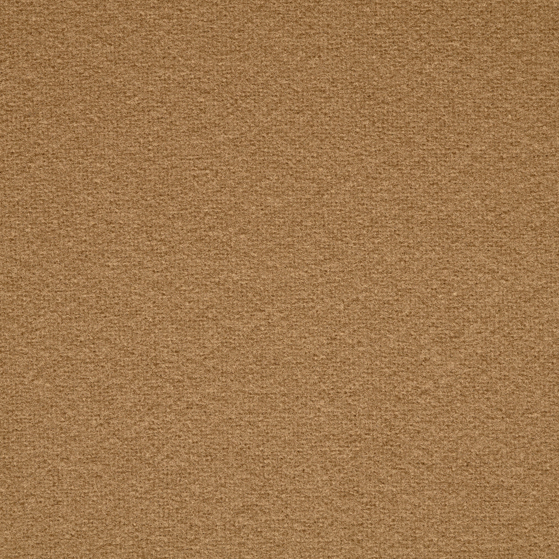 DOUBLE, DRAP, VIRGIN WOOL, TAN (F000049063) - Texture