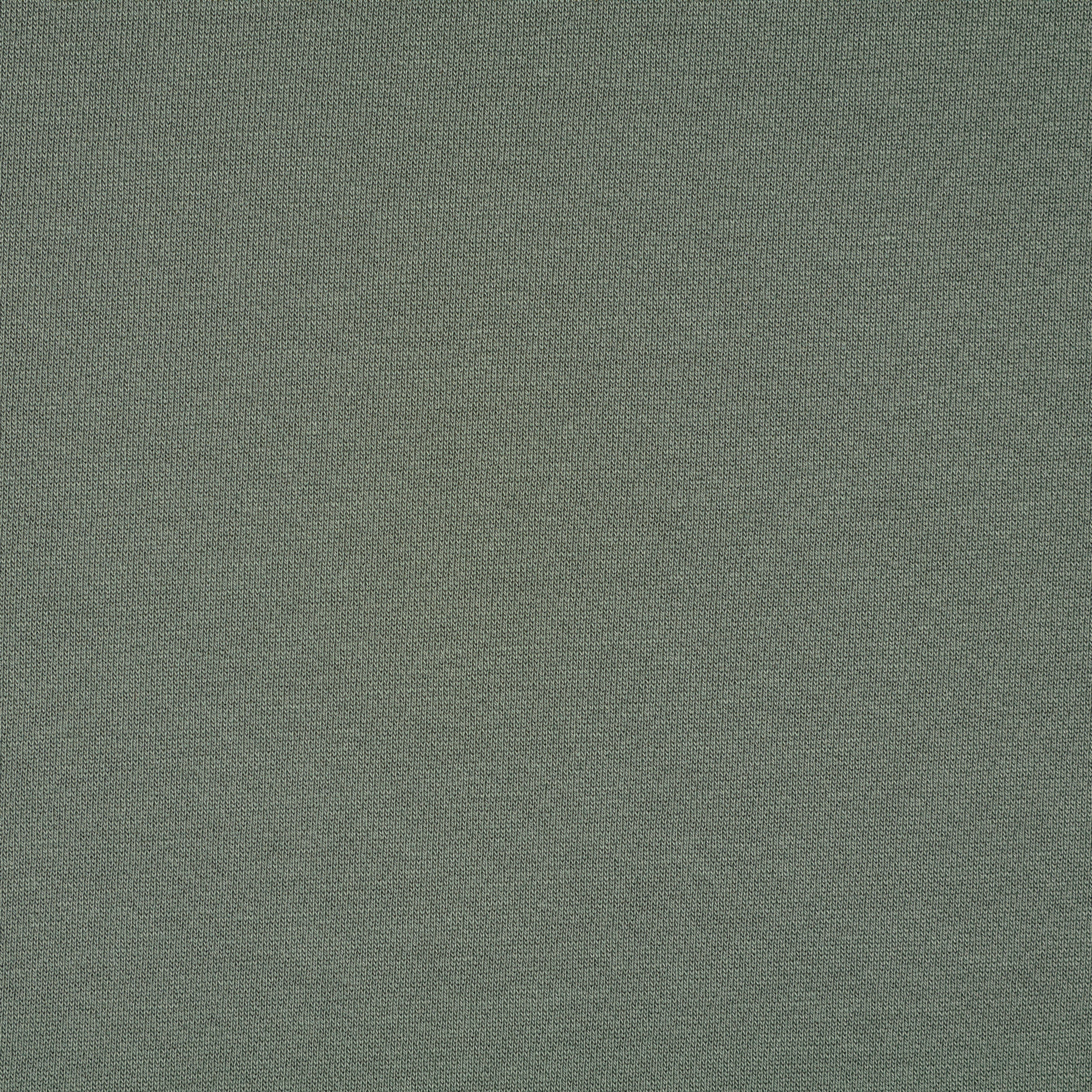 JERSEY, FRENCH TERRY, COTTON, SAGE (F000038691) - Texture
