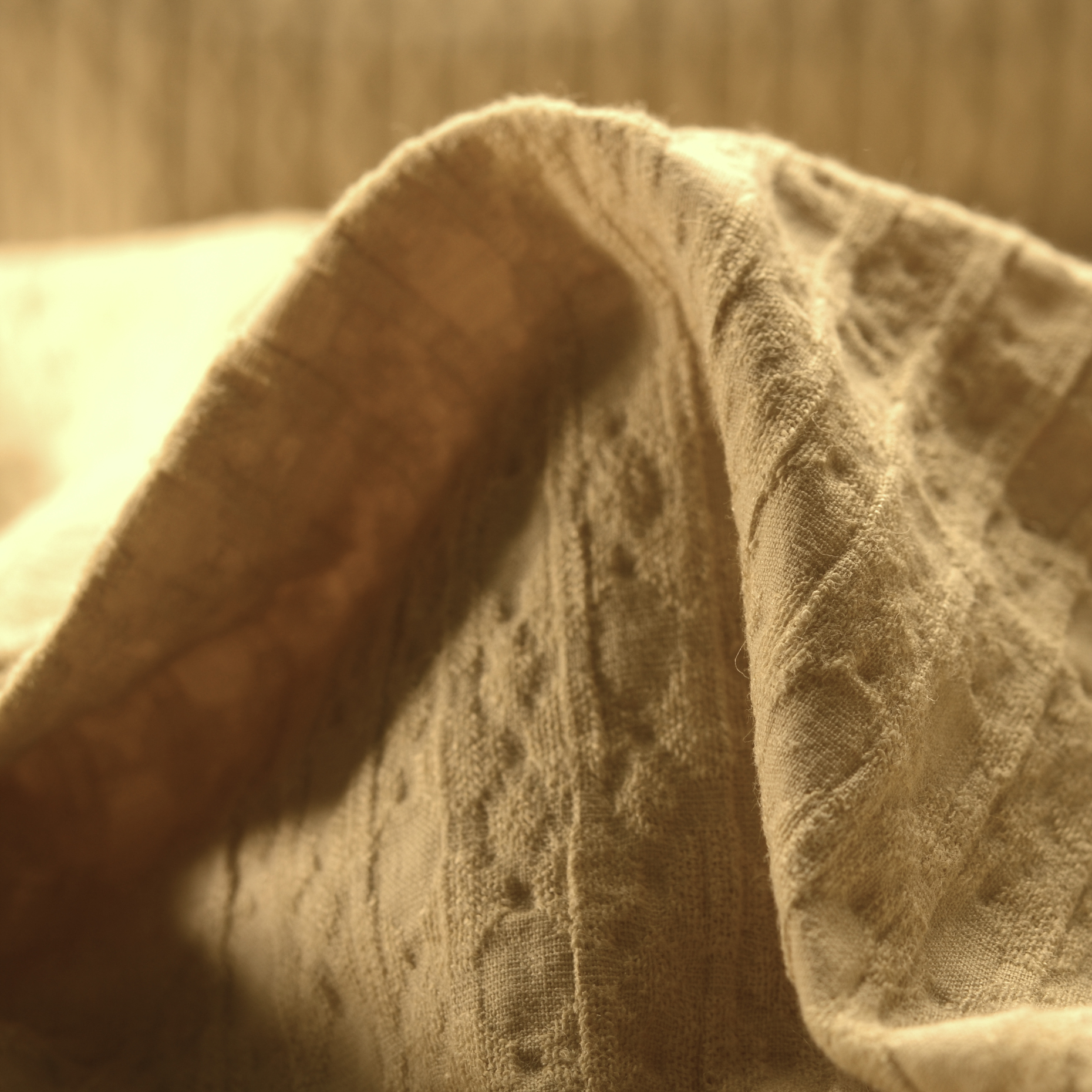 JACQUARD, COTTON ELASTIC, TONE ON TONE, ALMOND (F000016029)