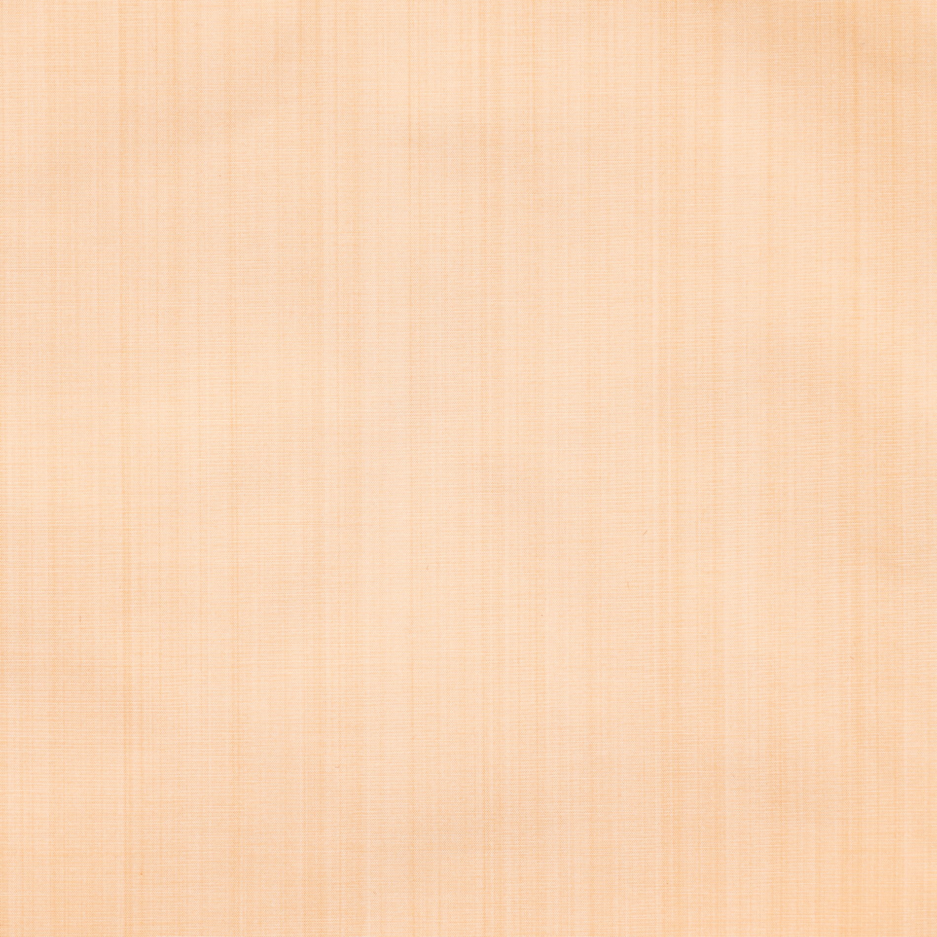 SILK, TAFFETA, IVORY (F000036183) - Texture