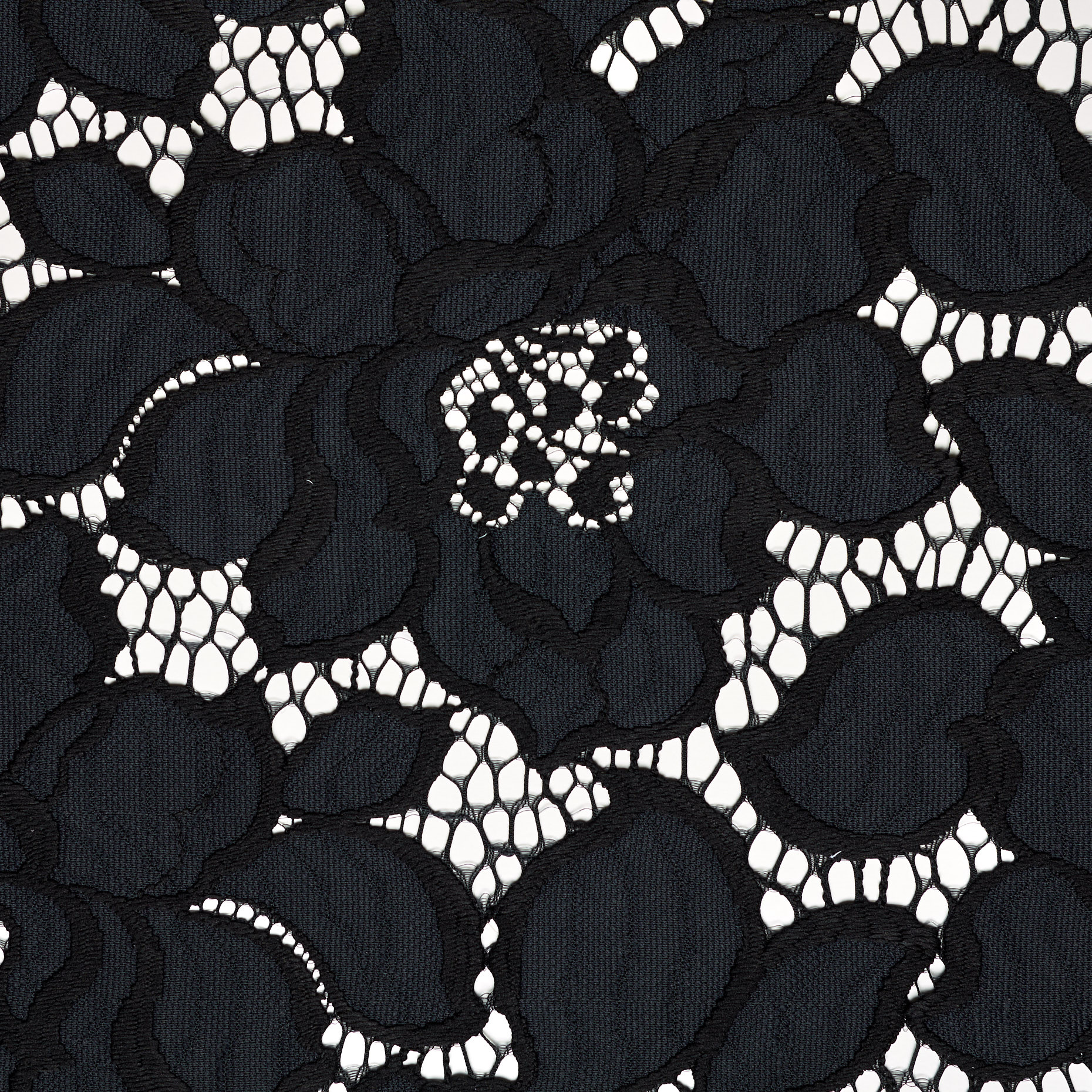 LACE, FLORAL, JET BLACK (F000037533) - Texture