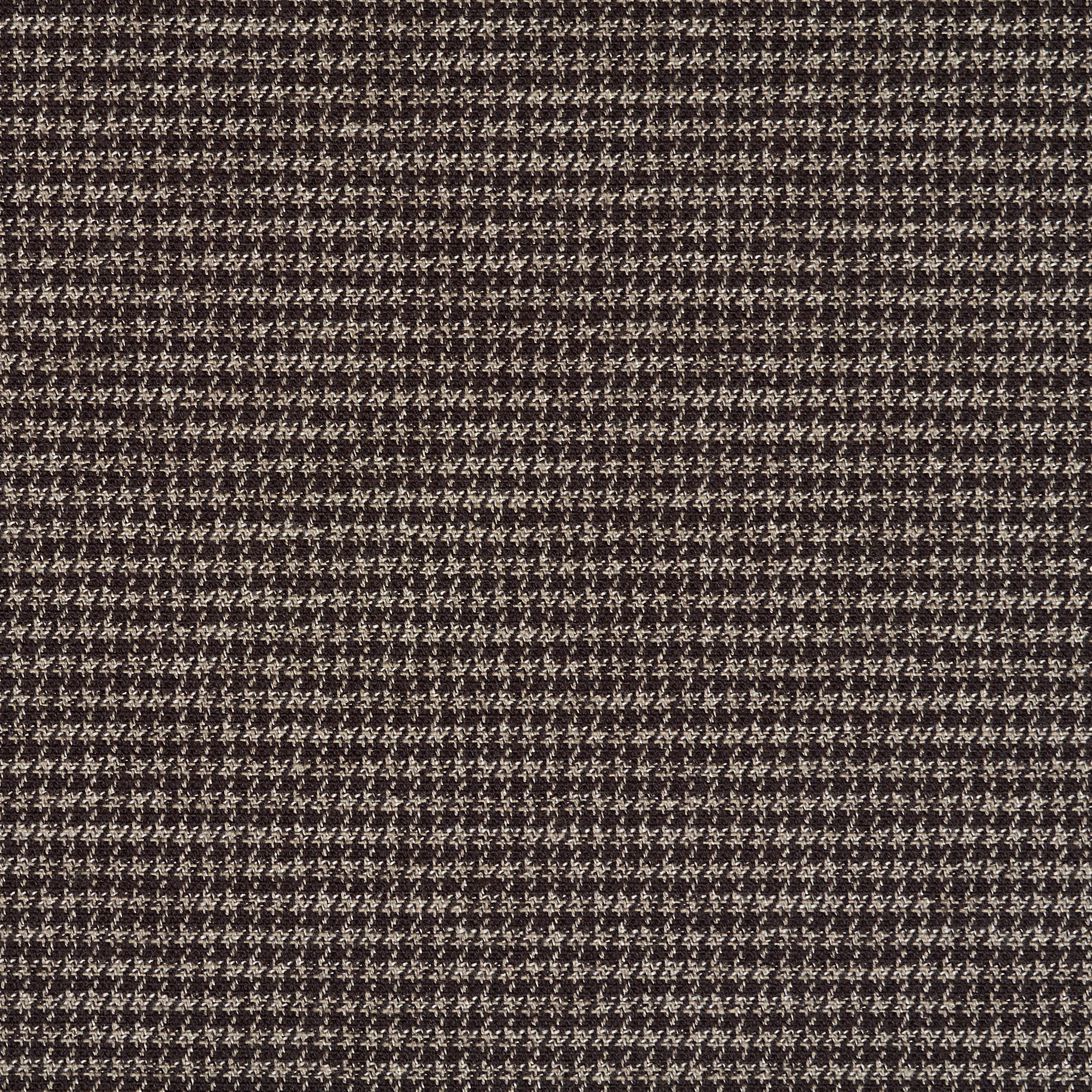 Cotone, Micro Design, Stretch, Black Olive (F000047963) - Trama