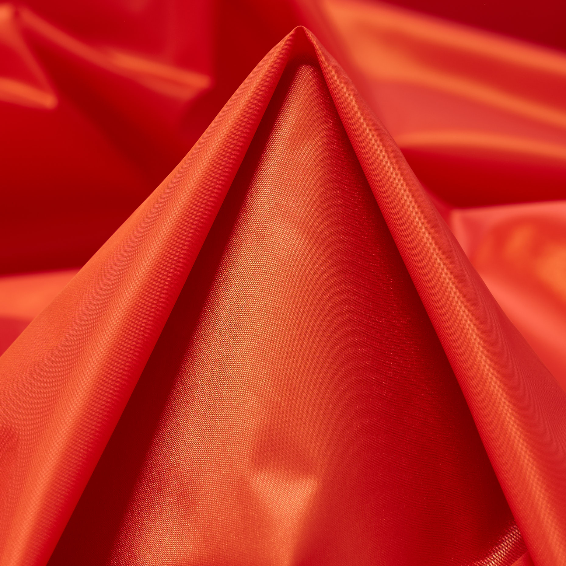 OUTDOOR, CHERRY TOMATO (F000042041)