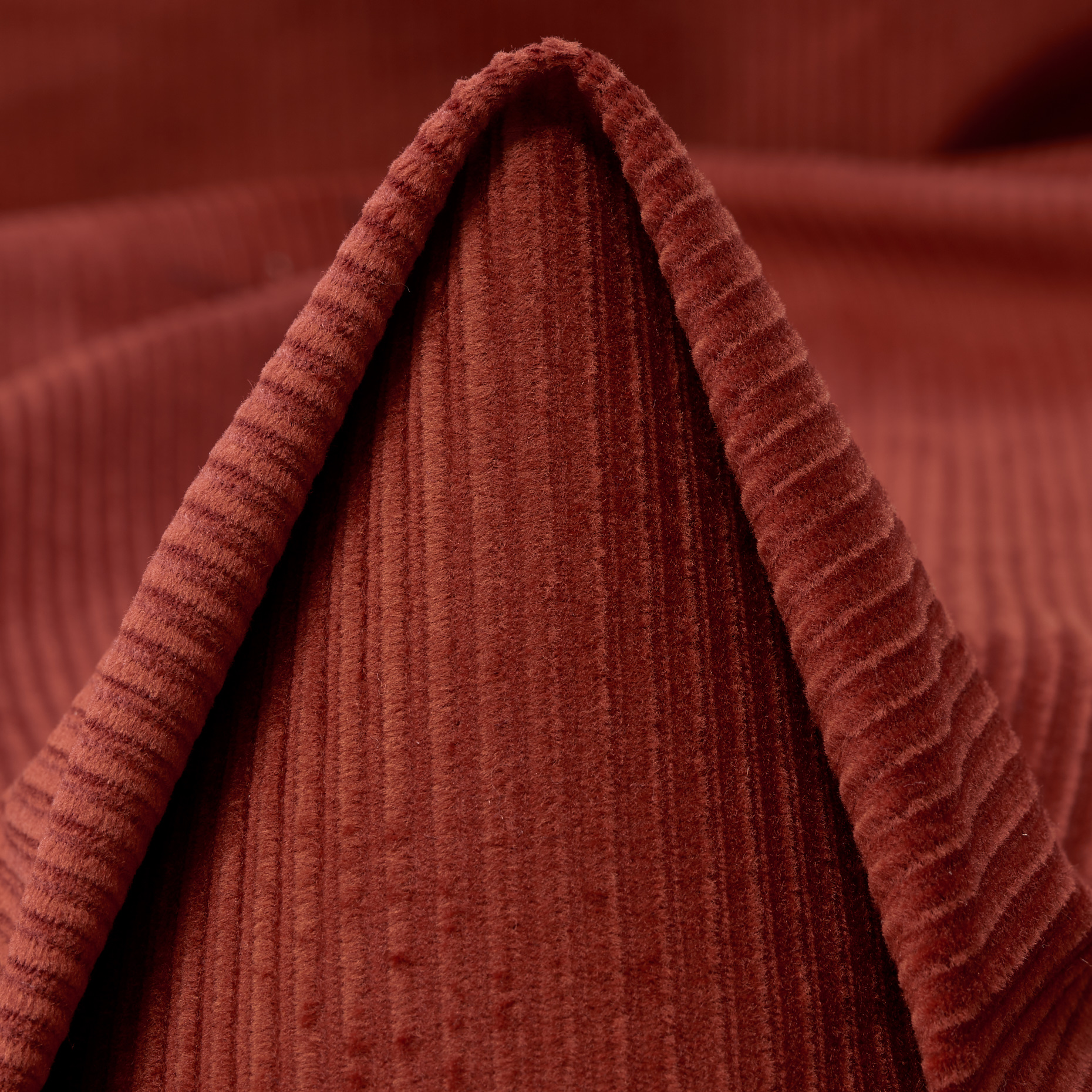 CORDUROY, COTTON, ELASTIC, MARSALA