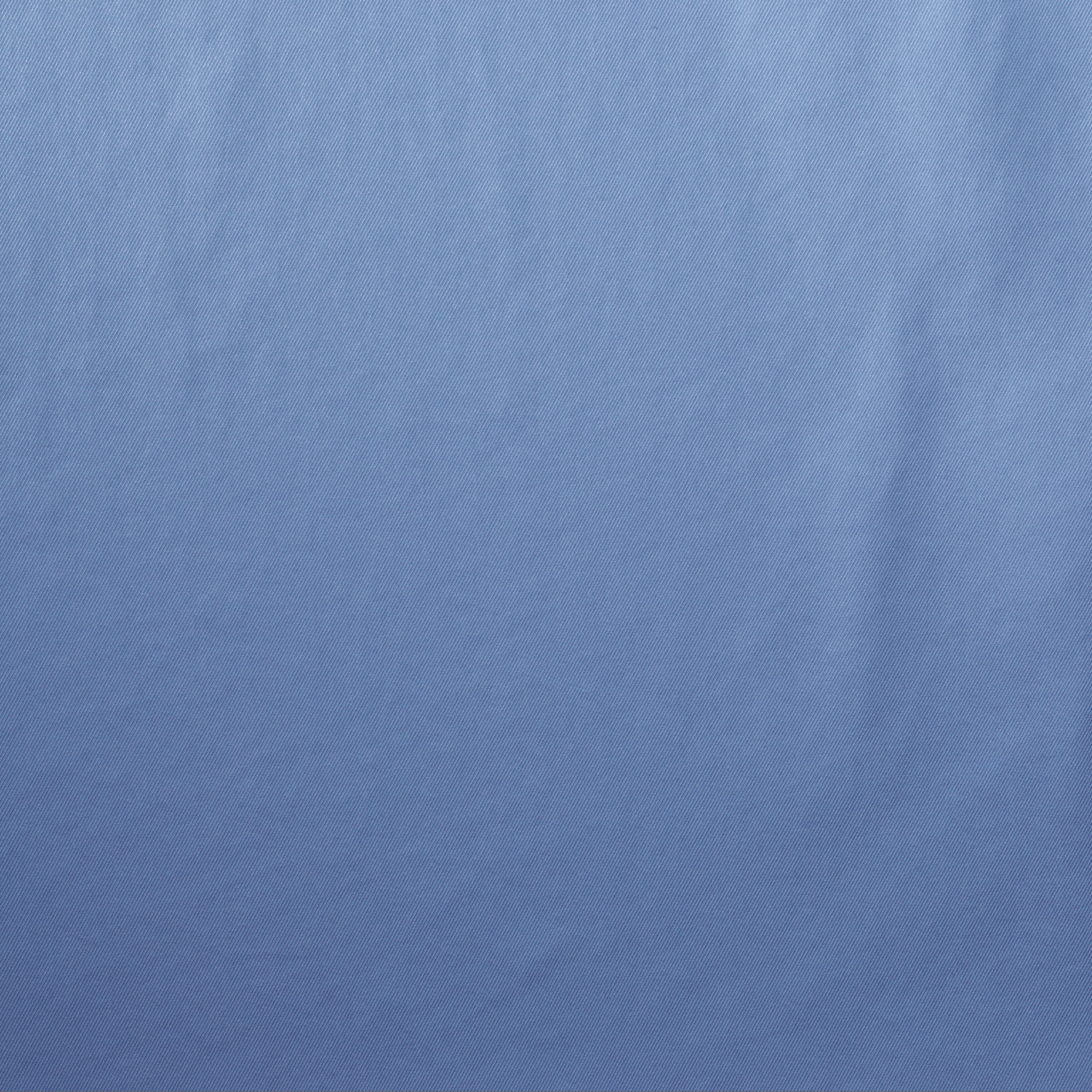 Fodera, Forget-Me-Not (F000019081) - Trama