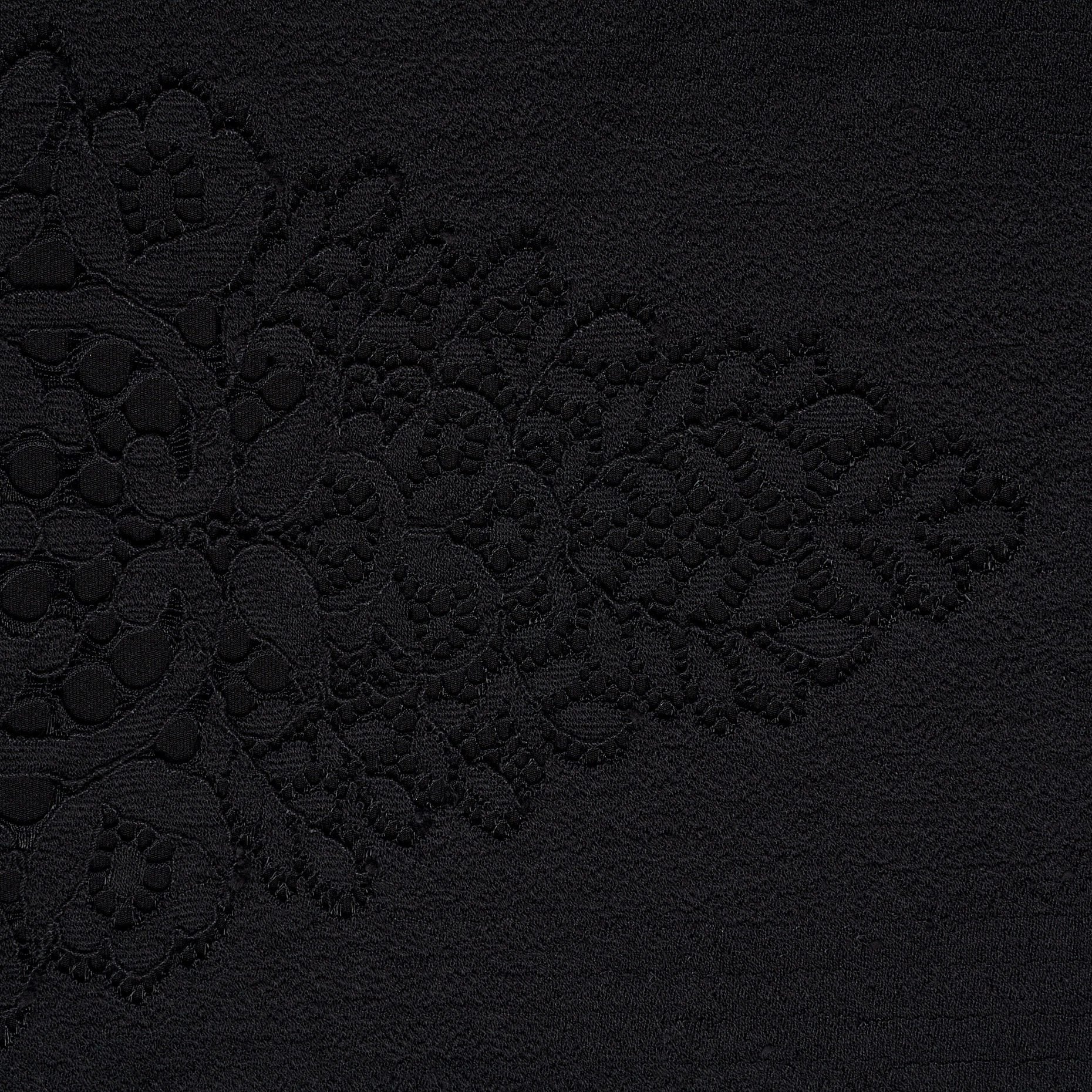 Dentelle, Coton, Floral, Raven Black (F000037568) - Tissage