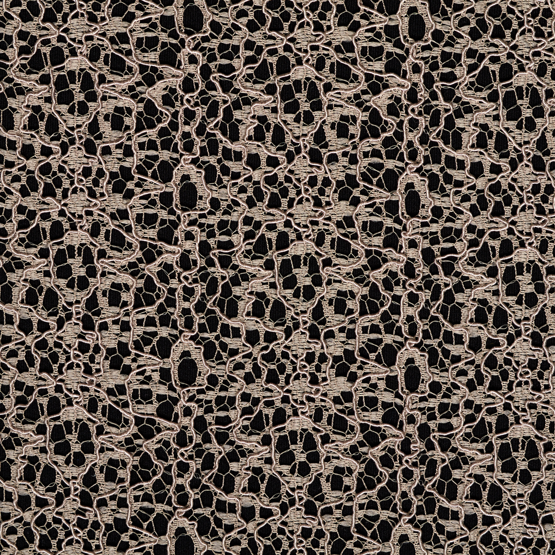 Dentelle, Coton Mixte, Atmosphere (F000033317) - Tissage