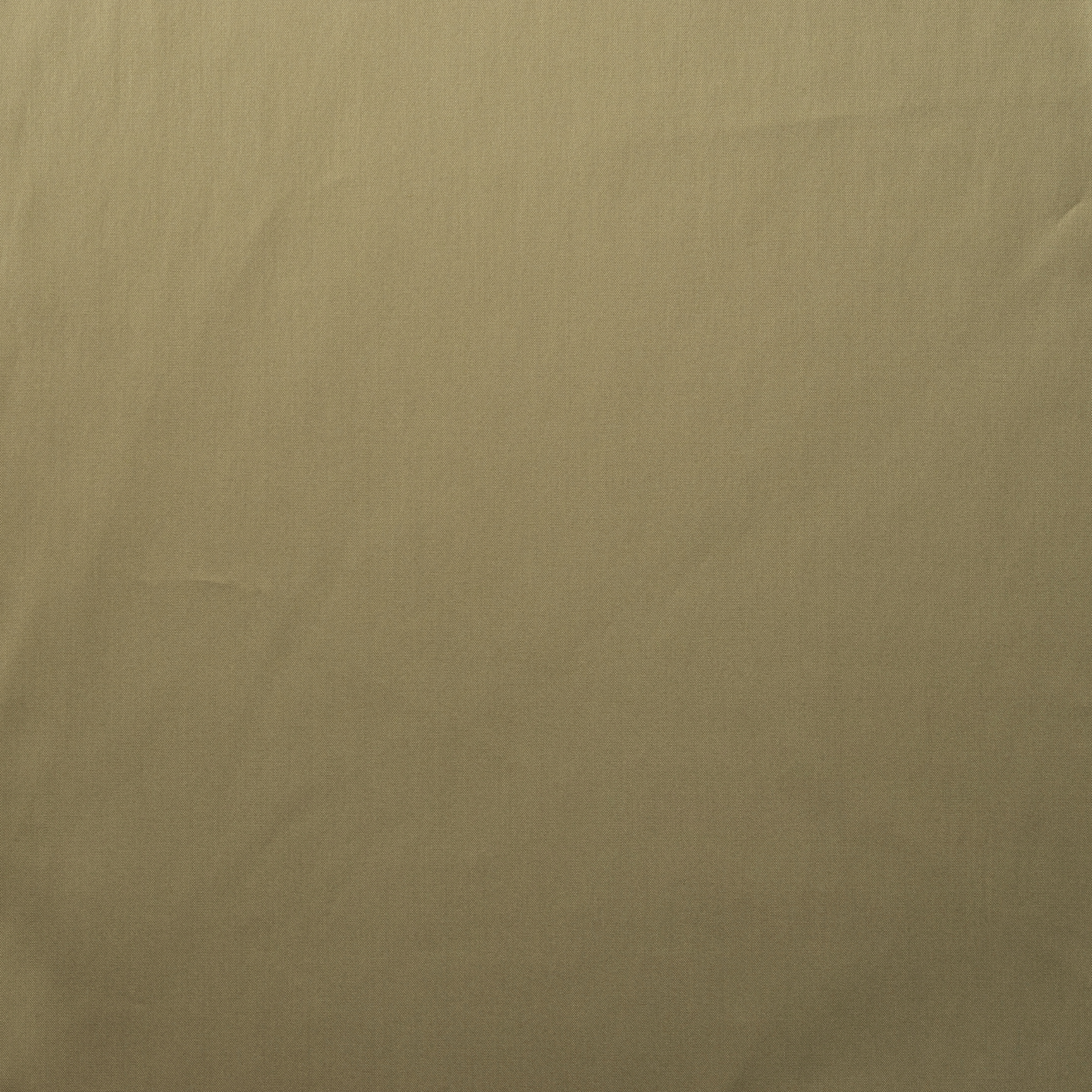 POPLIN, COTTON, HIGH ELASTICITY, BROWN RICE (F000016324) - Texture