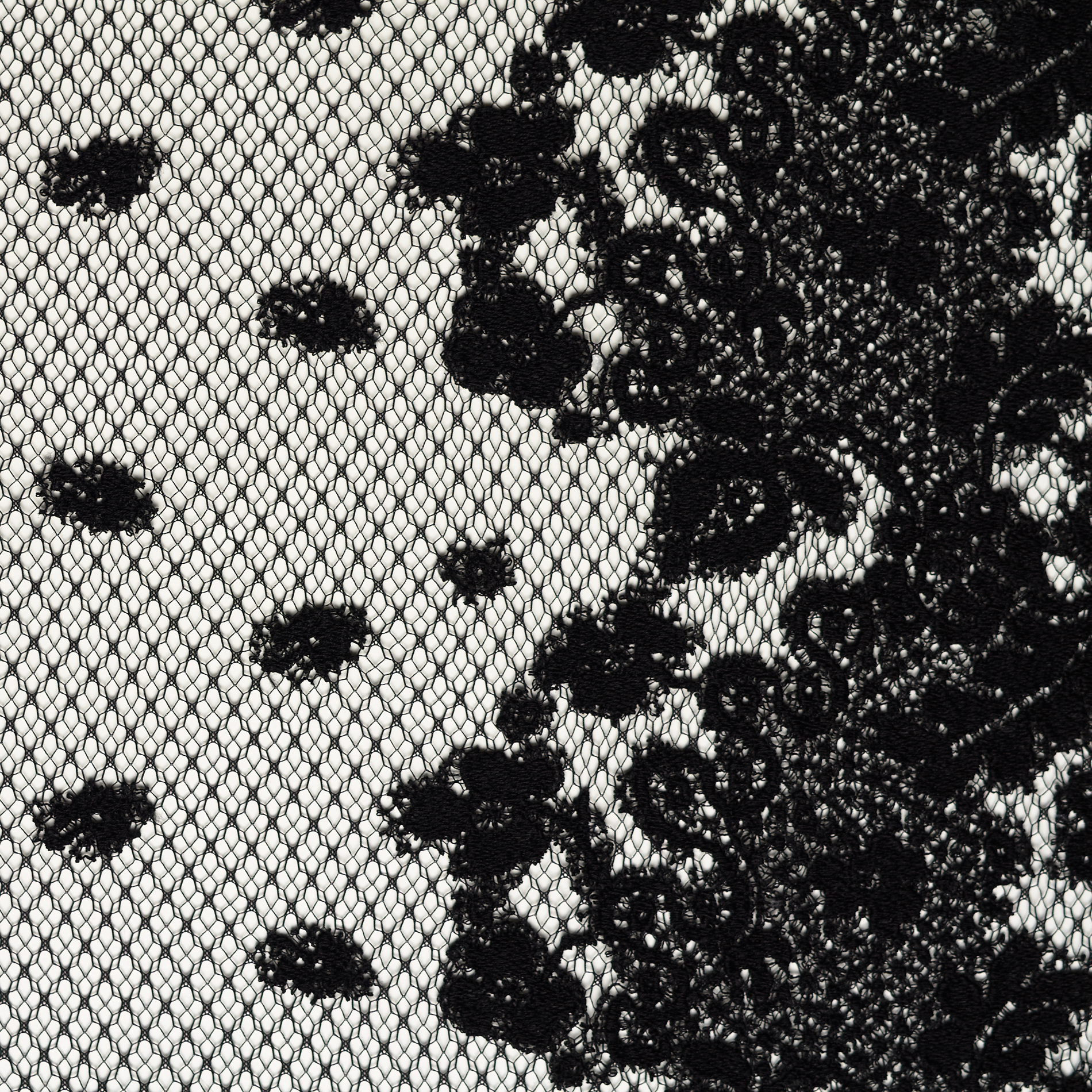 Pizzo, Cotone, Puntinato, Raven Black (F000034406) - Trama