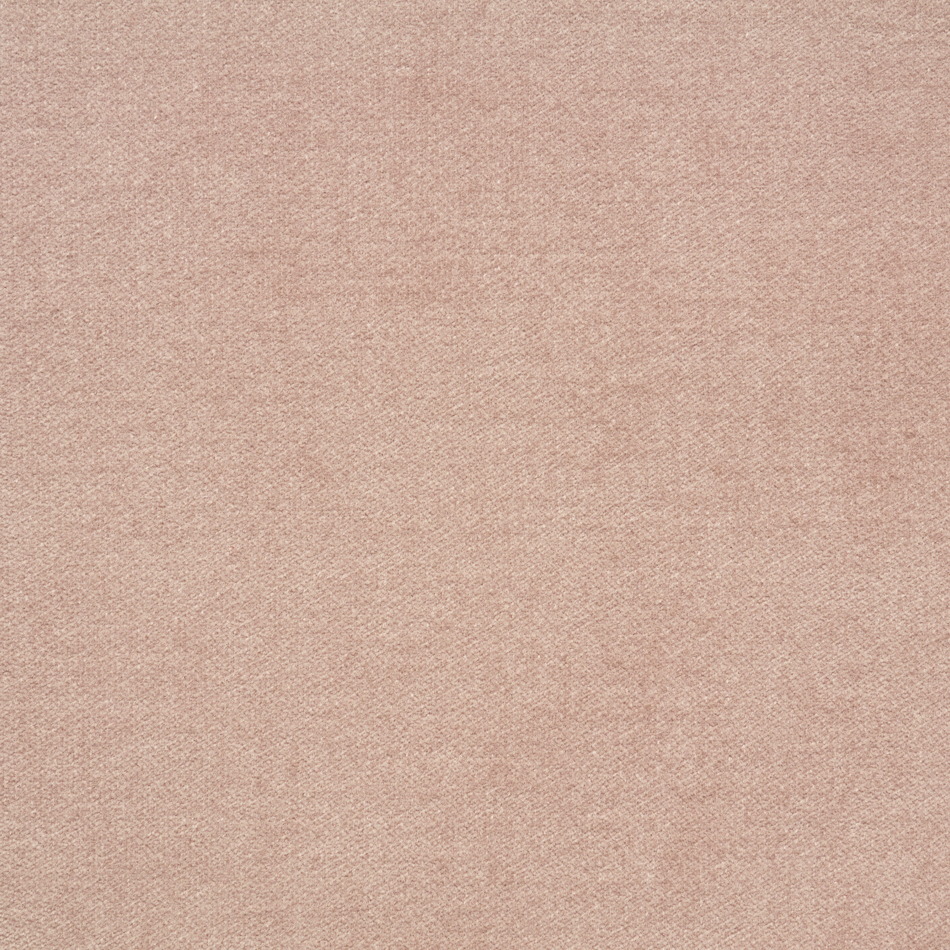 VELVET, COTTON, ELASTIC, HUSHED VIOLET (F000049130) - Texture