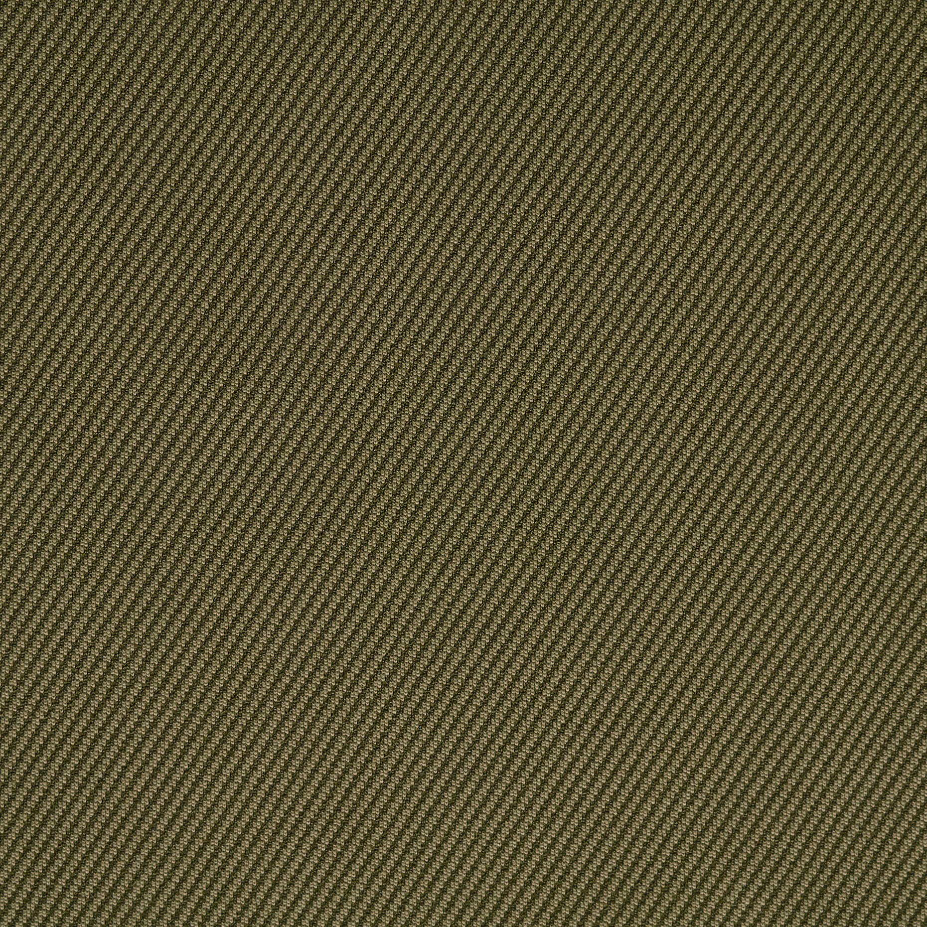 Jersey, Coton Mixte, Elástique, Tea Leaf (F000042331) - Tissage