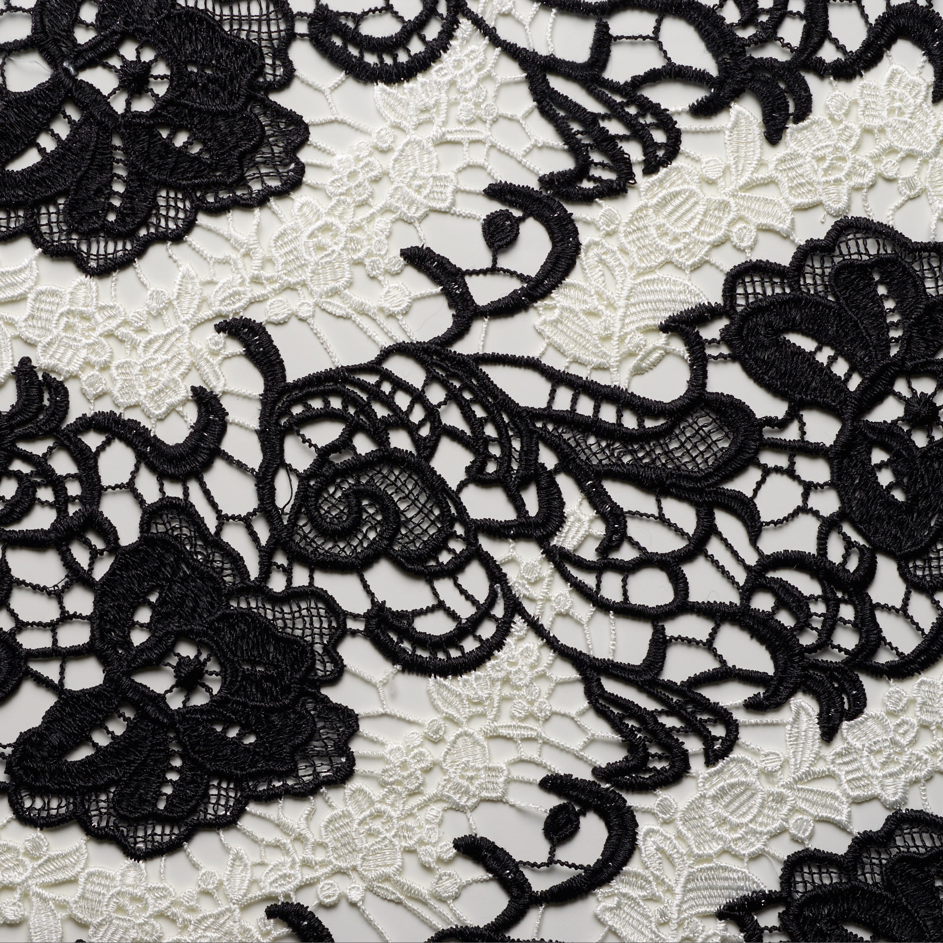 LACE, FLORAL, SNOW WHITE&BLACK (F000026137) - Texture