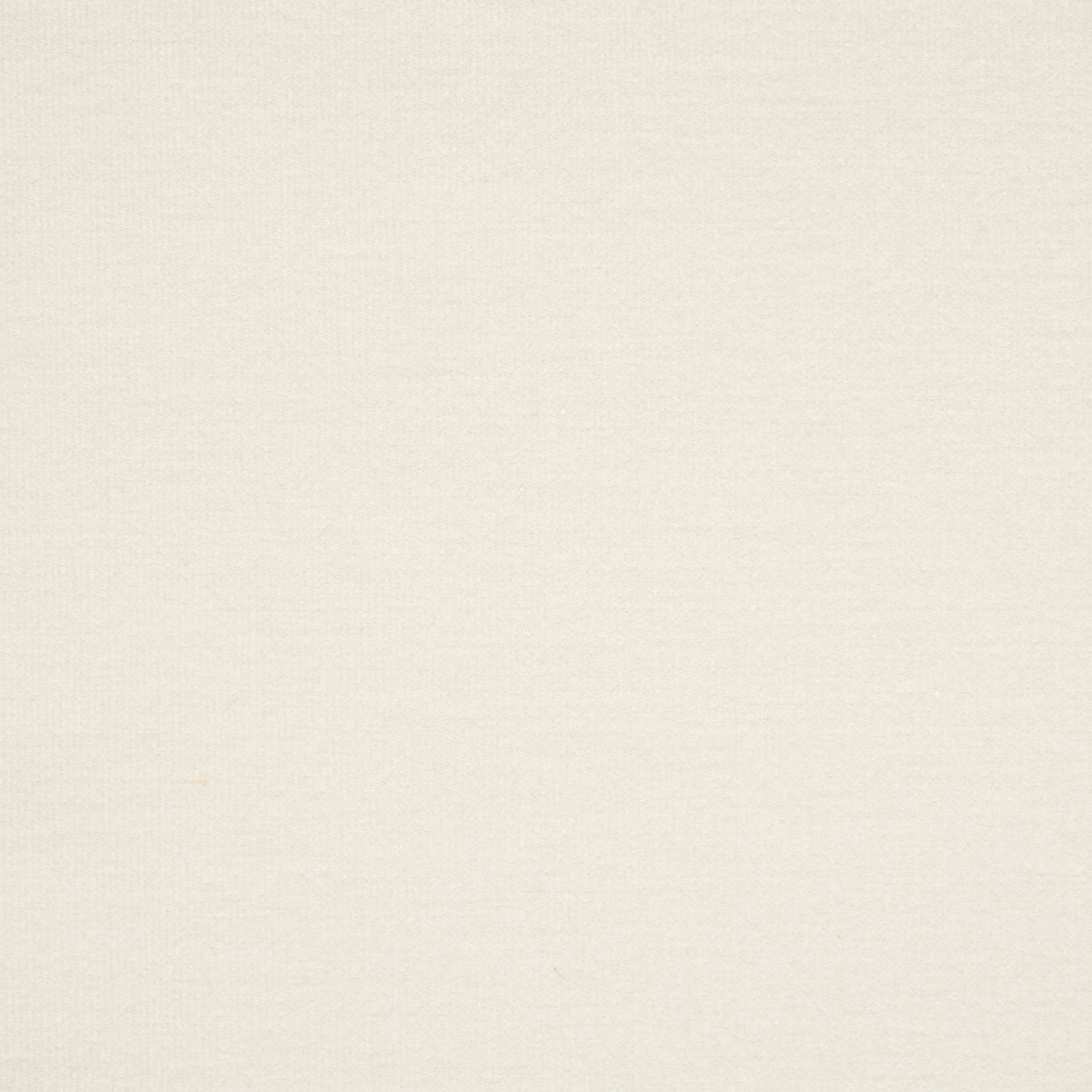 VELVET, COTTON, ELASTIC, LUCENT WHITE (F000040161) - Texture