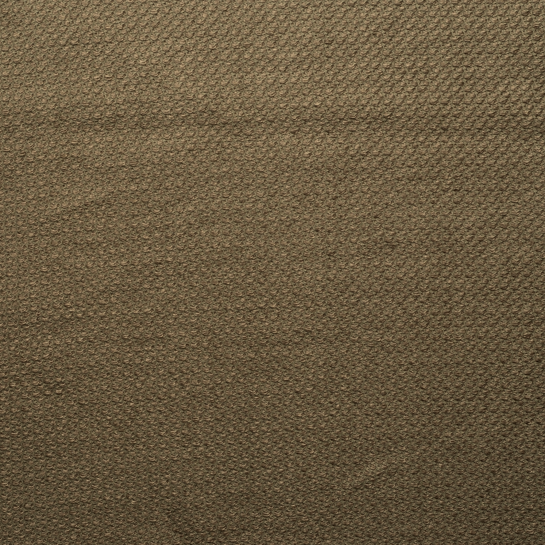 COTTON, MICRO DESIGN, GREIGE (F000014934) - Texture