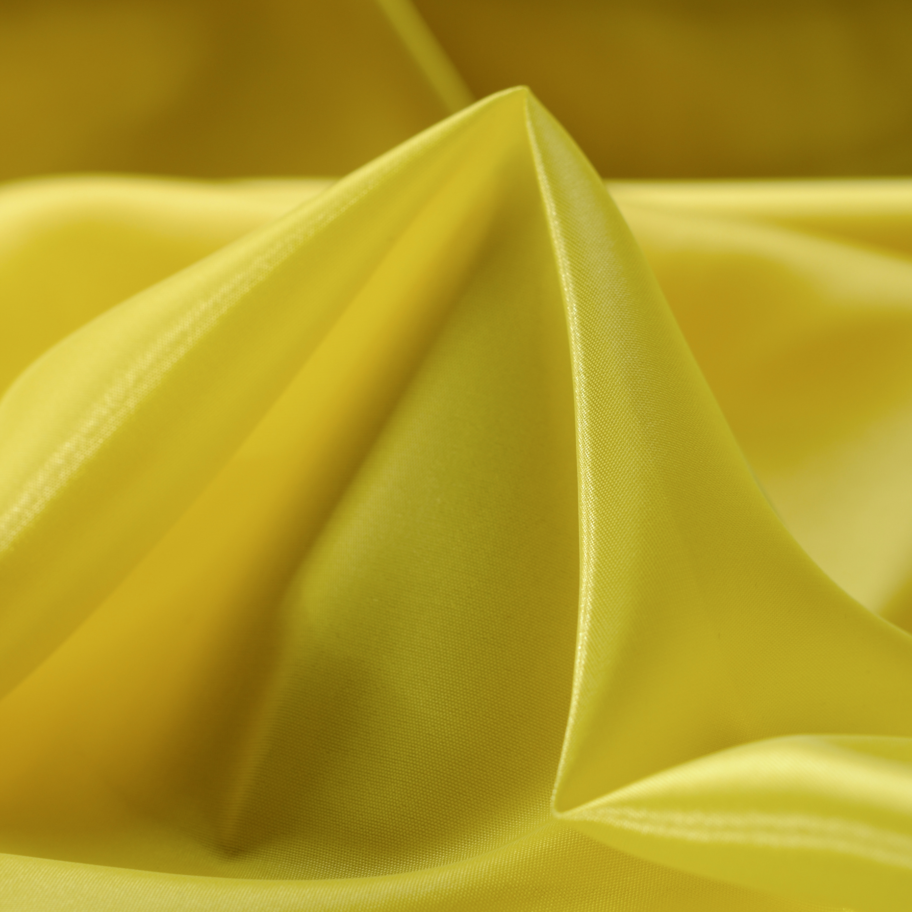 LINING, CANARY BIRD (F000020655)