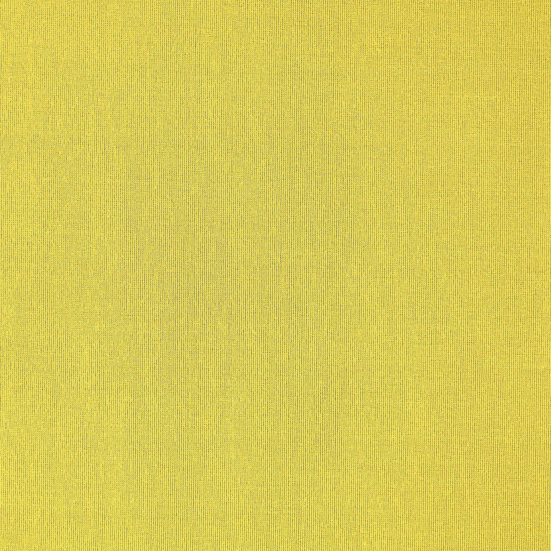 SINGLE JERSEY, SUNLIGHT (F0000723) - Texture