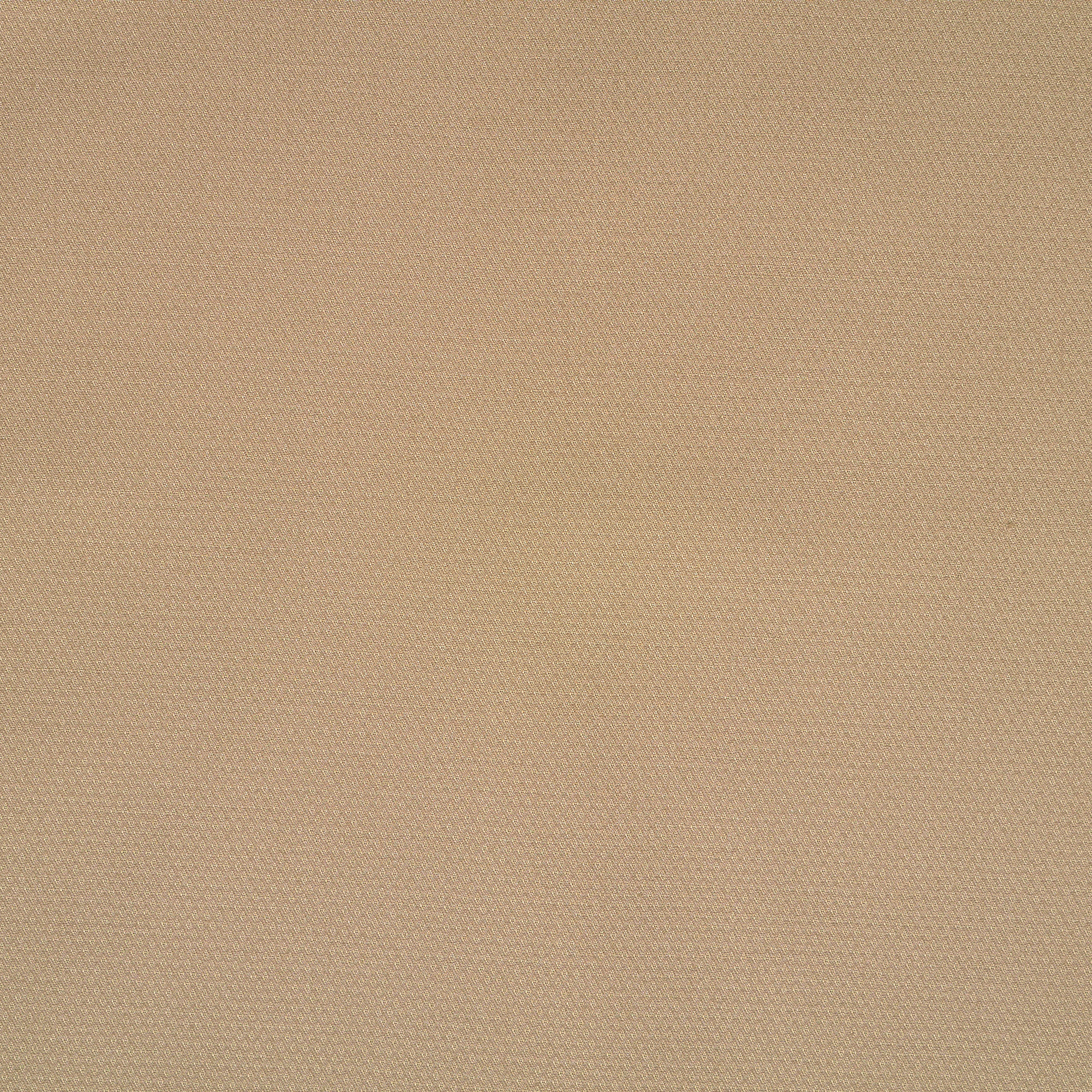 COTTON, ELASTIC, MICRO STRUCTURE, RICE (F000038485) - Texture