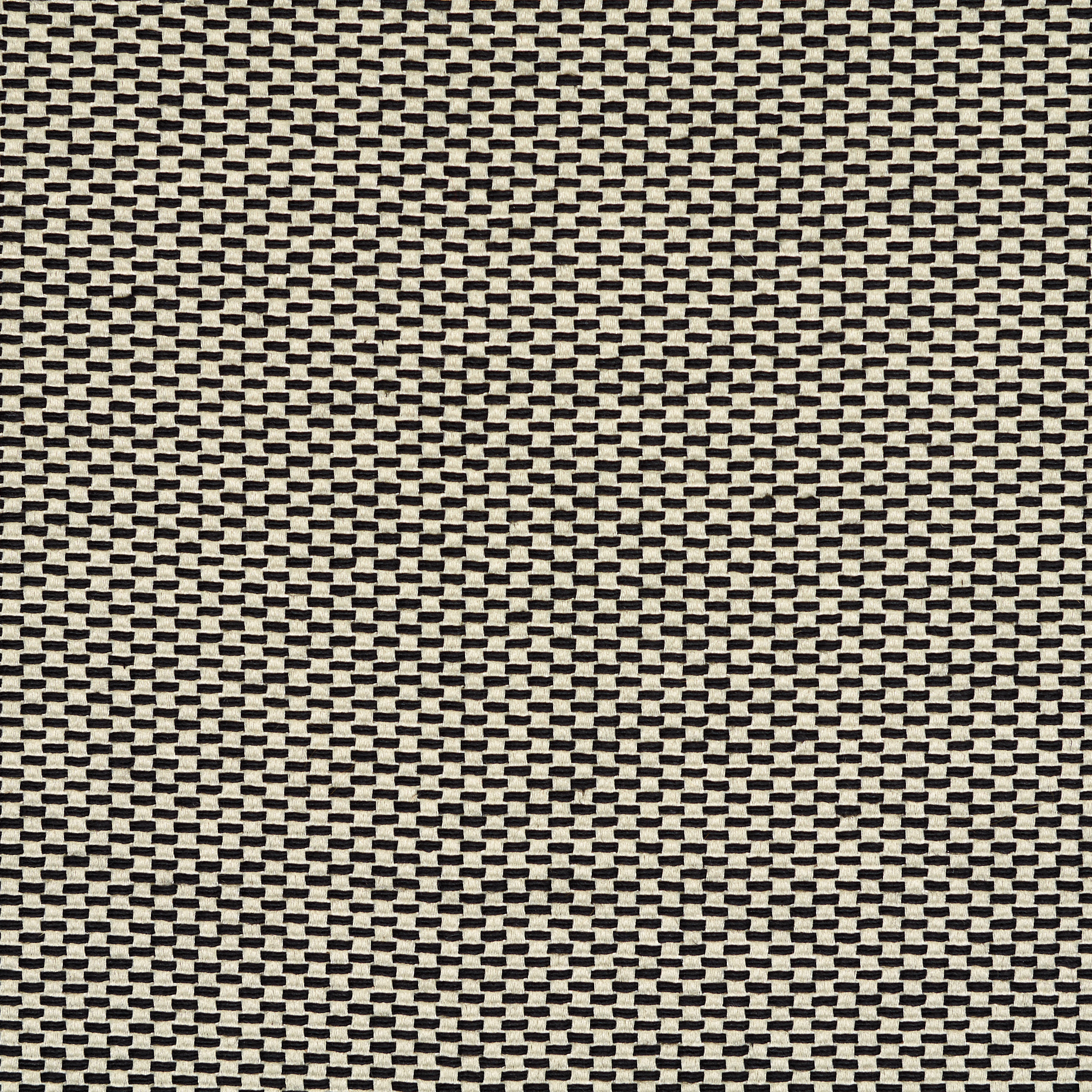 Baumwolle, Microstruktur, Antique White&Raven Black (F000048161) - Gewebe