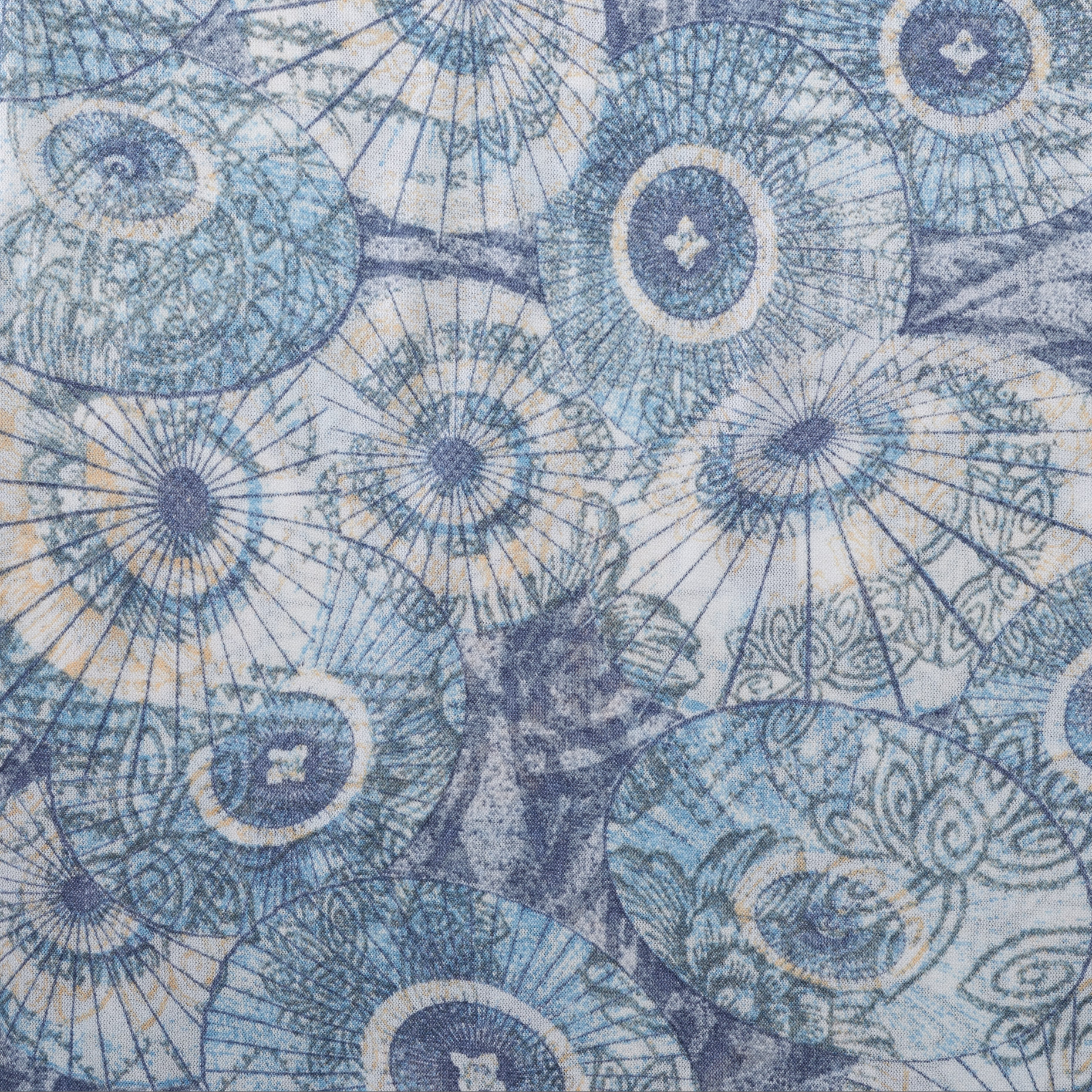 SINGLE JERSEY, CRÊPE, PRINTED, BEL AIR BLUE (F000025954) - Texture