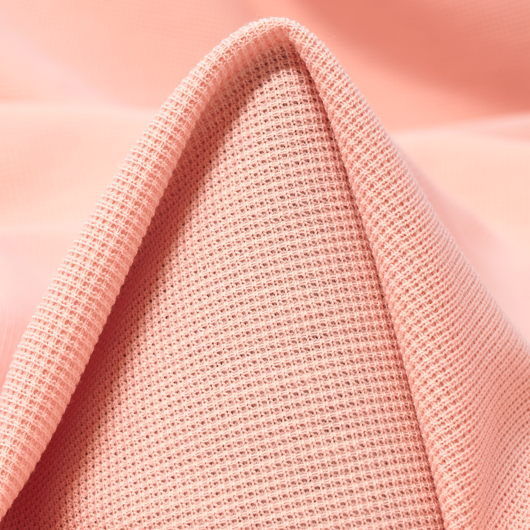 JERSEY, PIQUÉ, ENGLISH ROSE (F000044161)