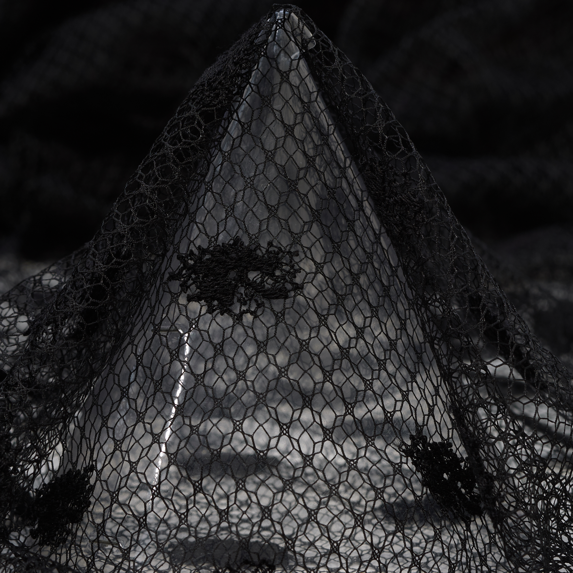 LACE, COTTON, DOTS, RAVEN BLACK (F000034406)