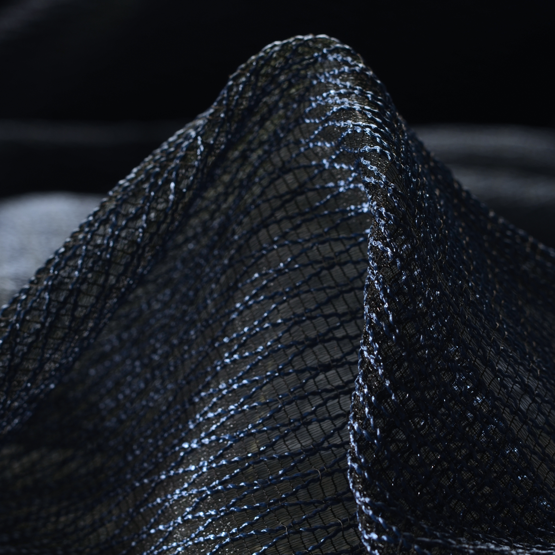 Red, Jacquard, True Blue (F000022606)