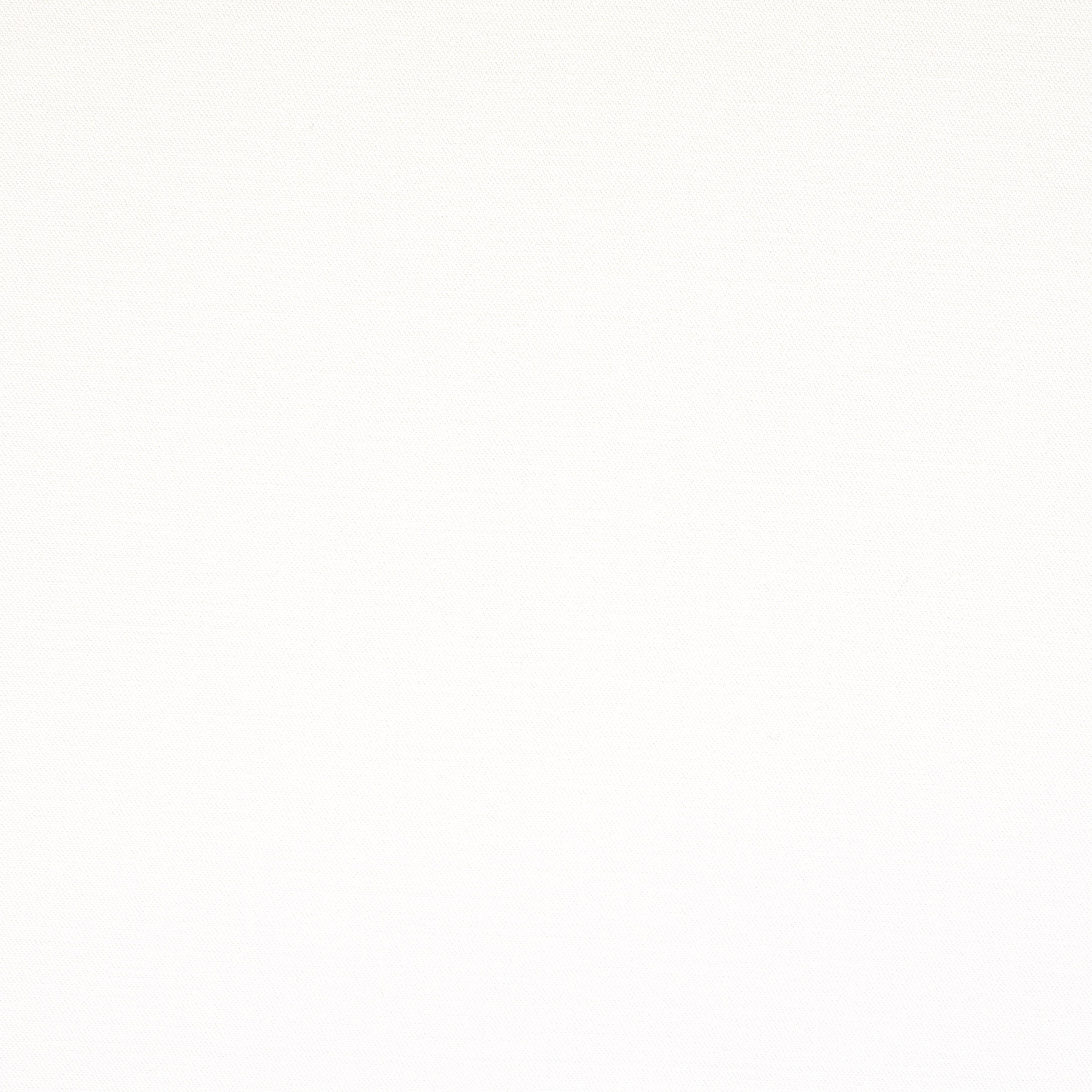 Coton , Élastique, Brilliant White (F000044927) - Tissage