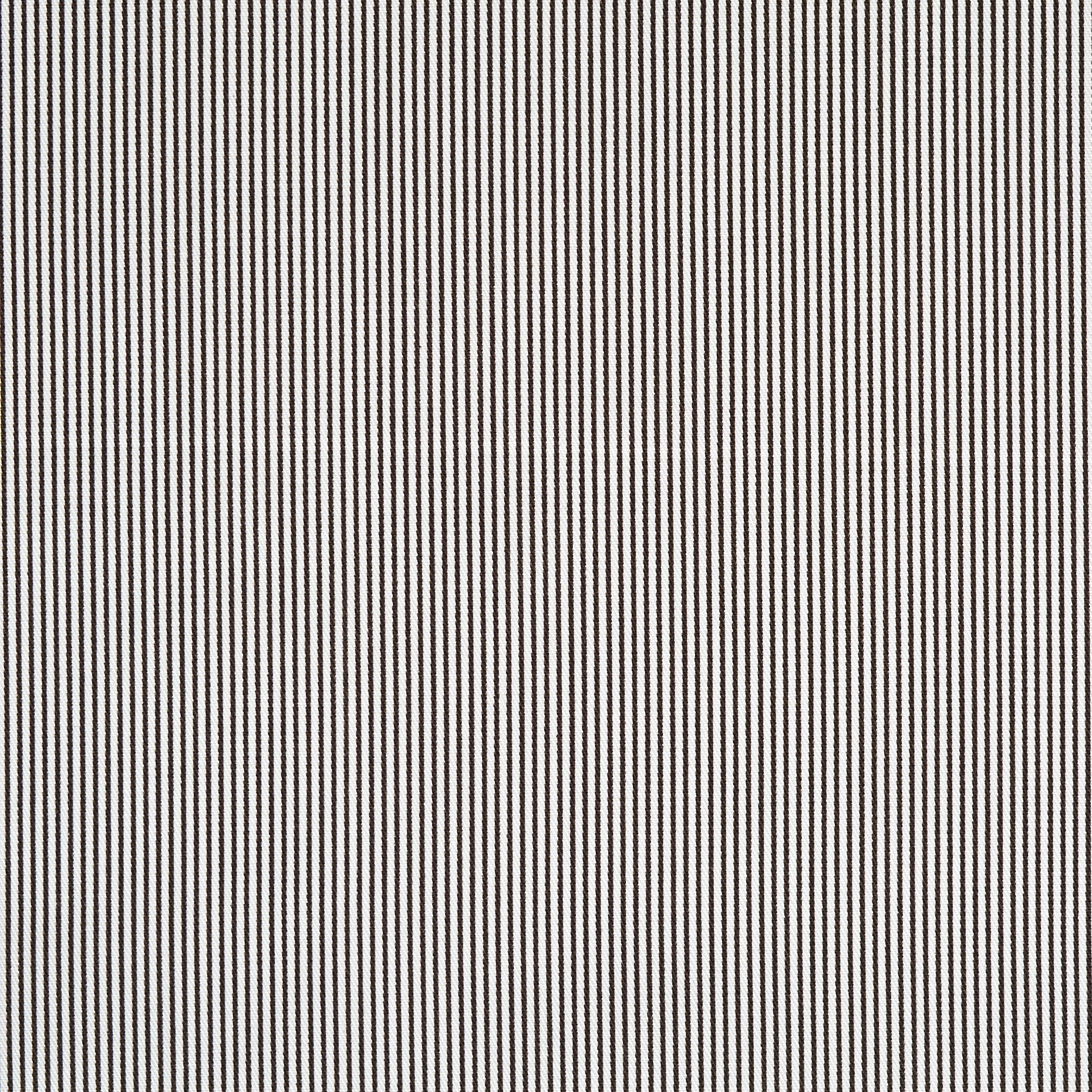 COTTON, STRIPES, ANTIQUE WHITE&BLACKENED PEARL (F000009684) - Texture