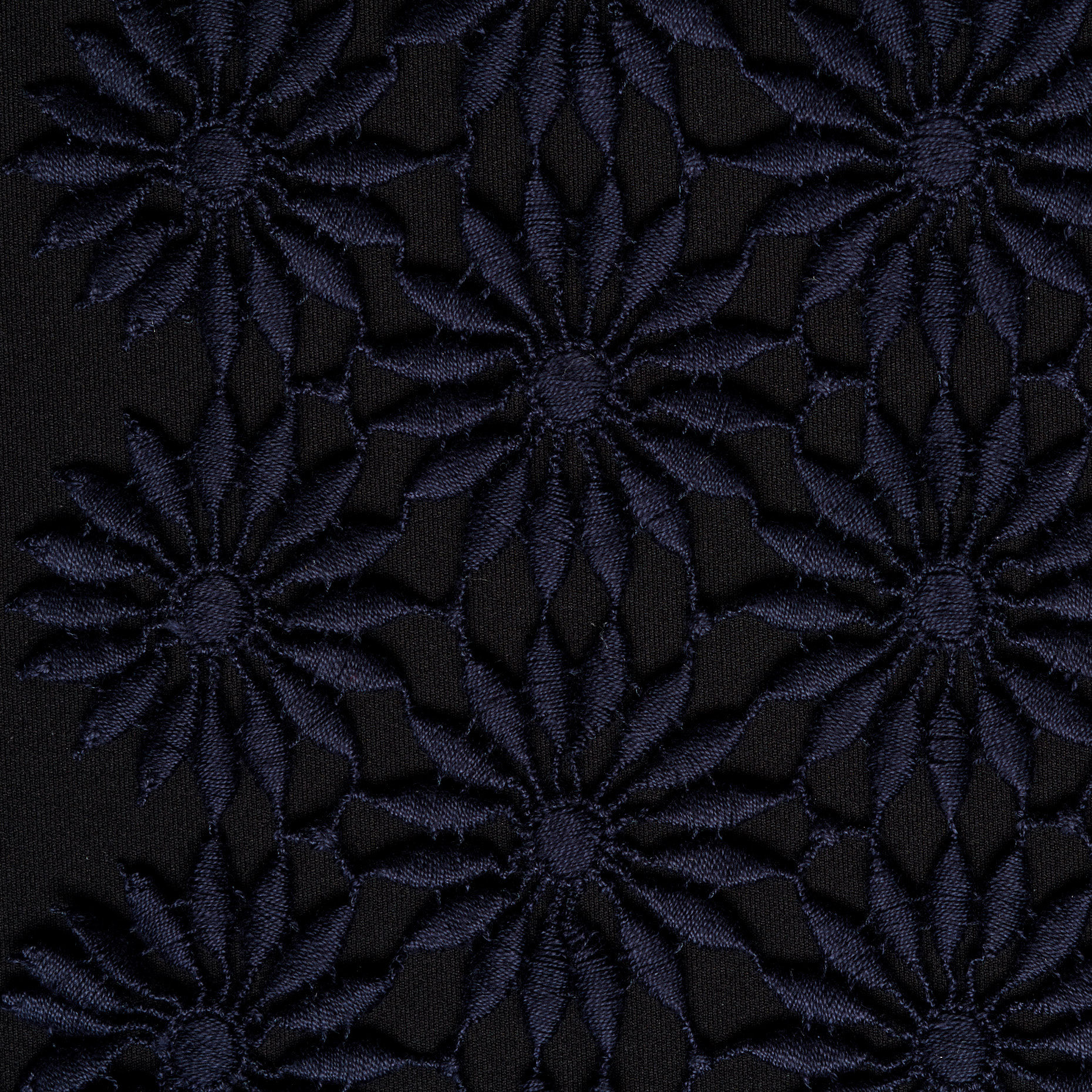 Dentelle, Coton, Floral, Midnight Blue (F000015475) - Tissage