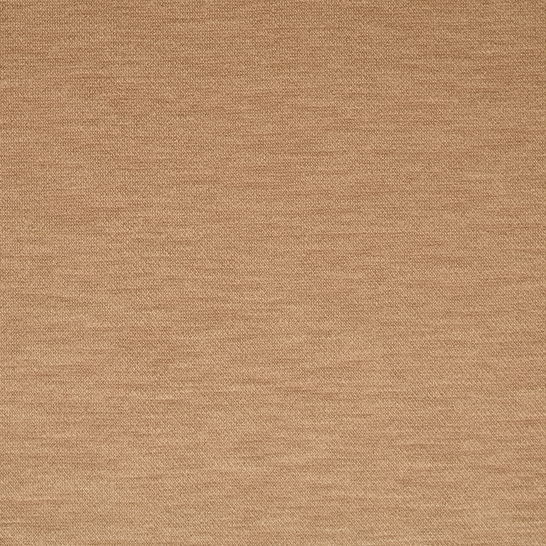 Jersey, Laine Vierge, Mélange, Almond (F000043145) - Tissage