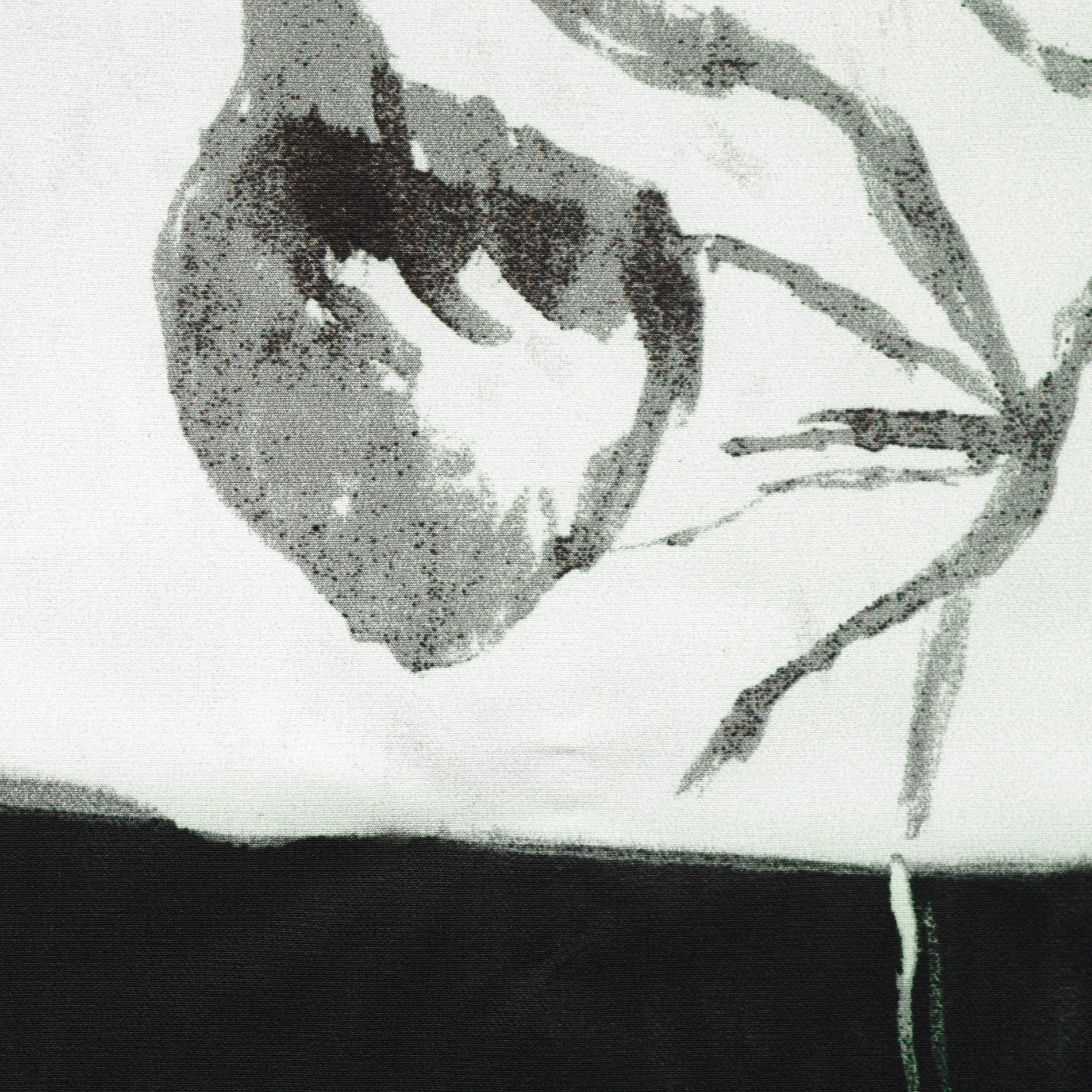 TECHNO STRETCH, PRINTED, CHALK&RAVEN BLACK (F000031343) - Texture