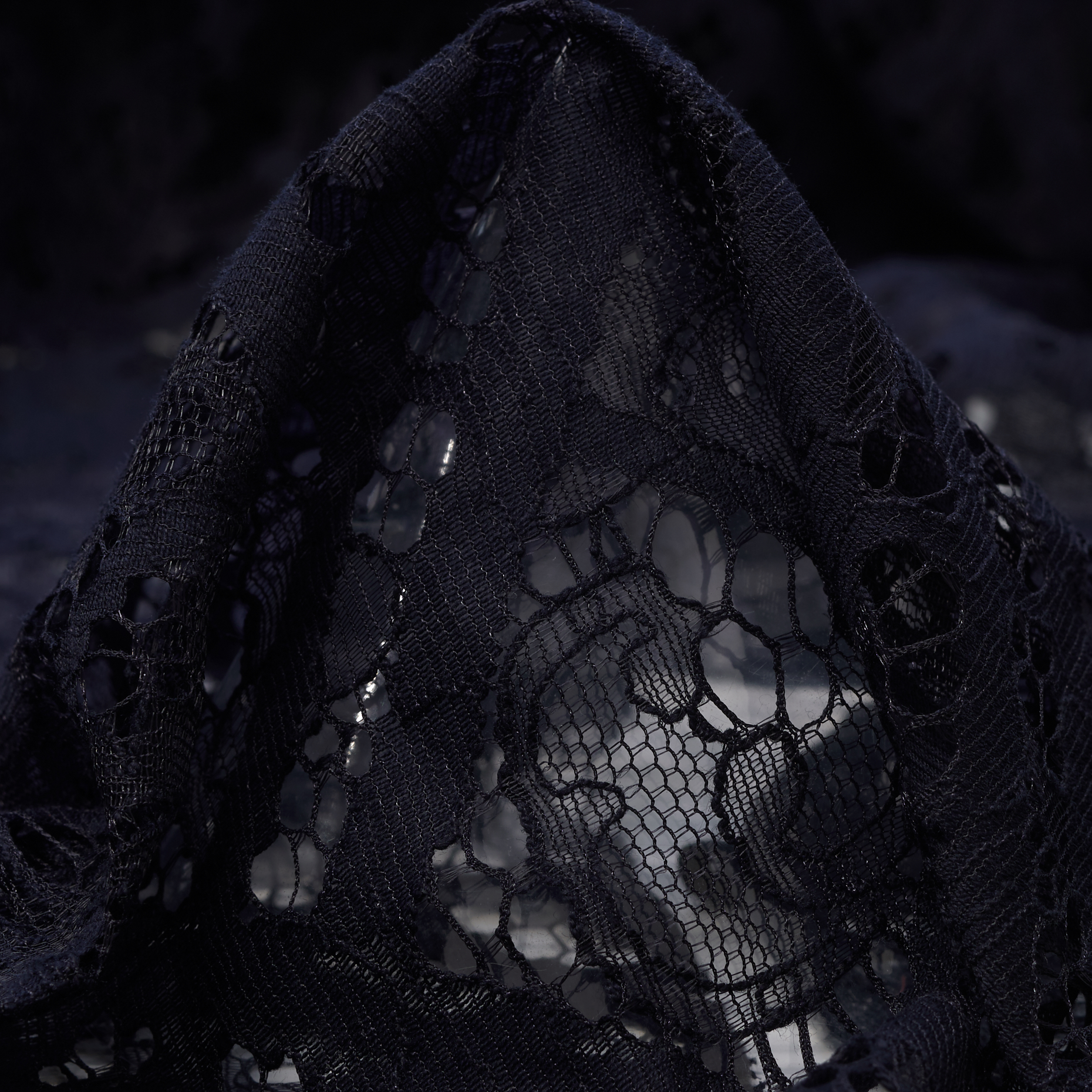 LACE, COTTON, PARISIAN NIGHT (F000033820)