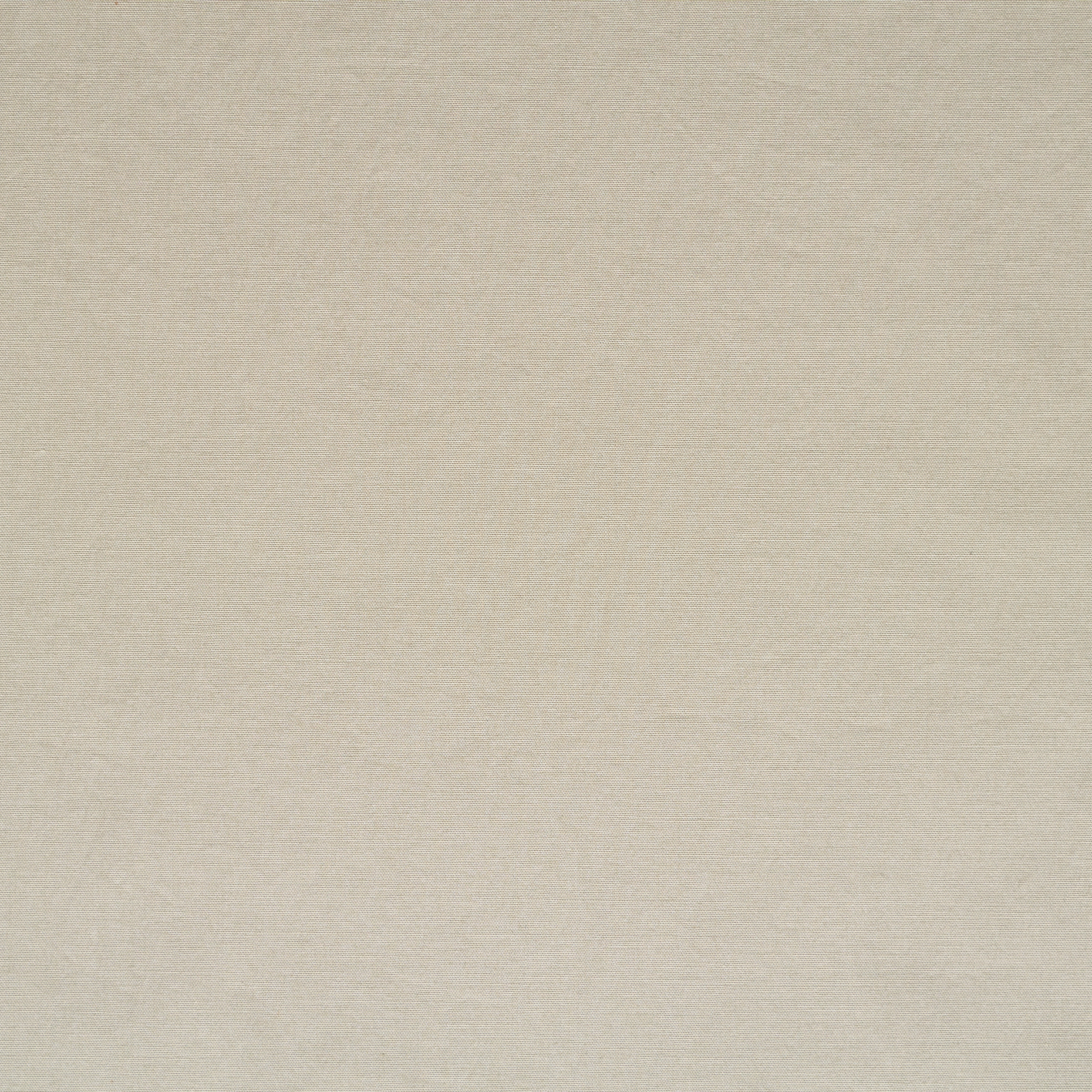 POPLIN, COTTON, ELASTIC, SILVER BIRCH (F000049214) - Texture