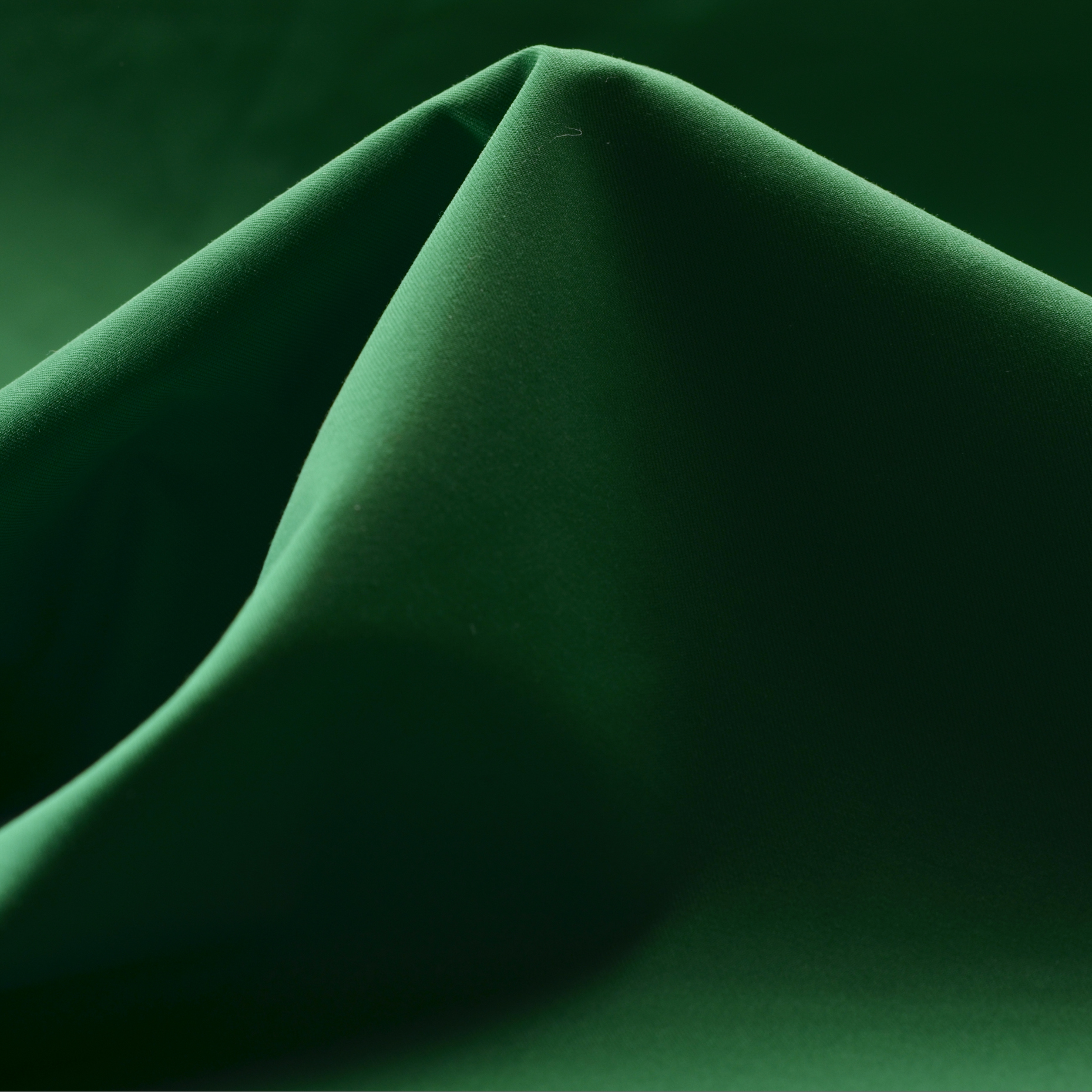 OUTDOOR, GREEN BEE (F000004452)