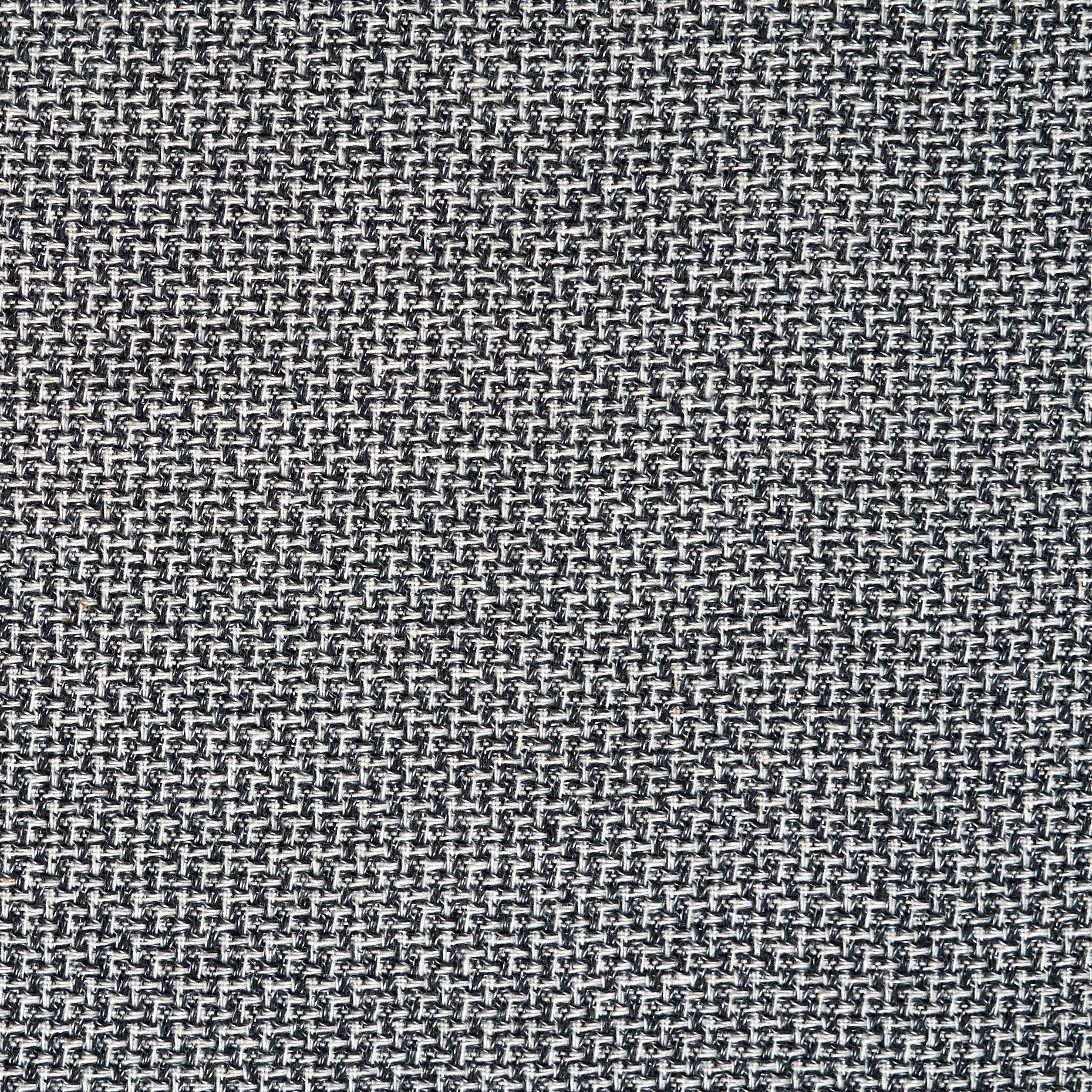 COTTON, MICRO DESIGN, SNOW WHITE&RAVEN BLACK (F000044601) - Texture