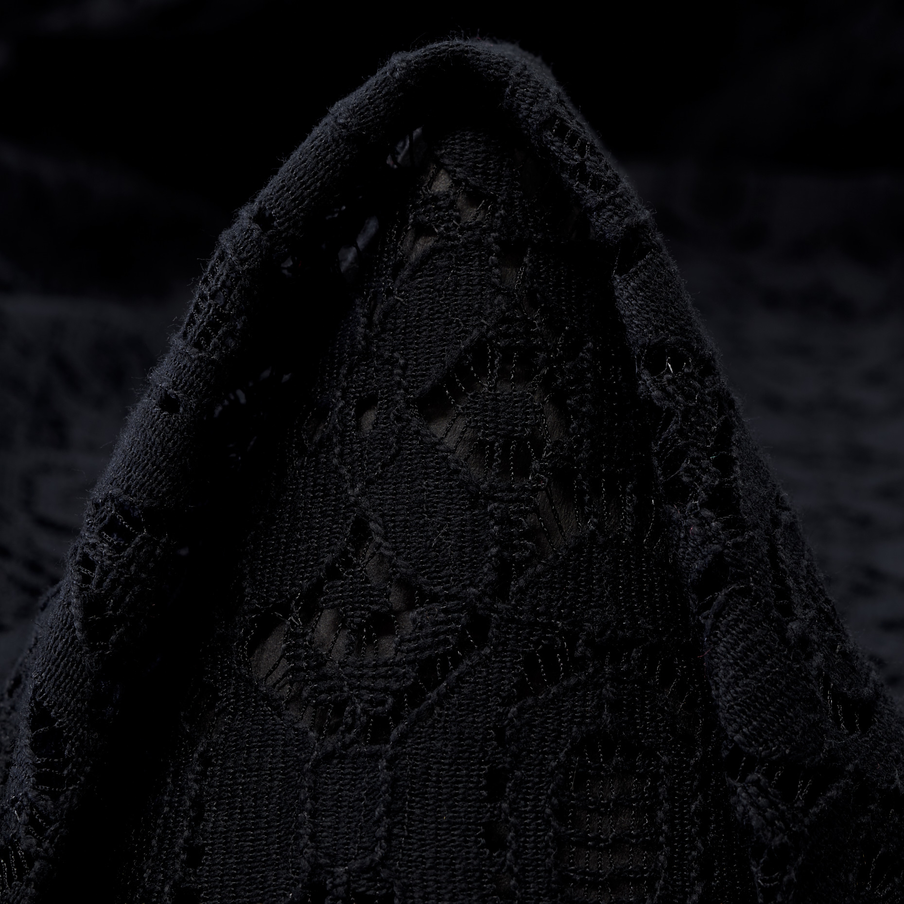 LACE, COTTON, PRINTED, RAVEN BLACK (F000009063)