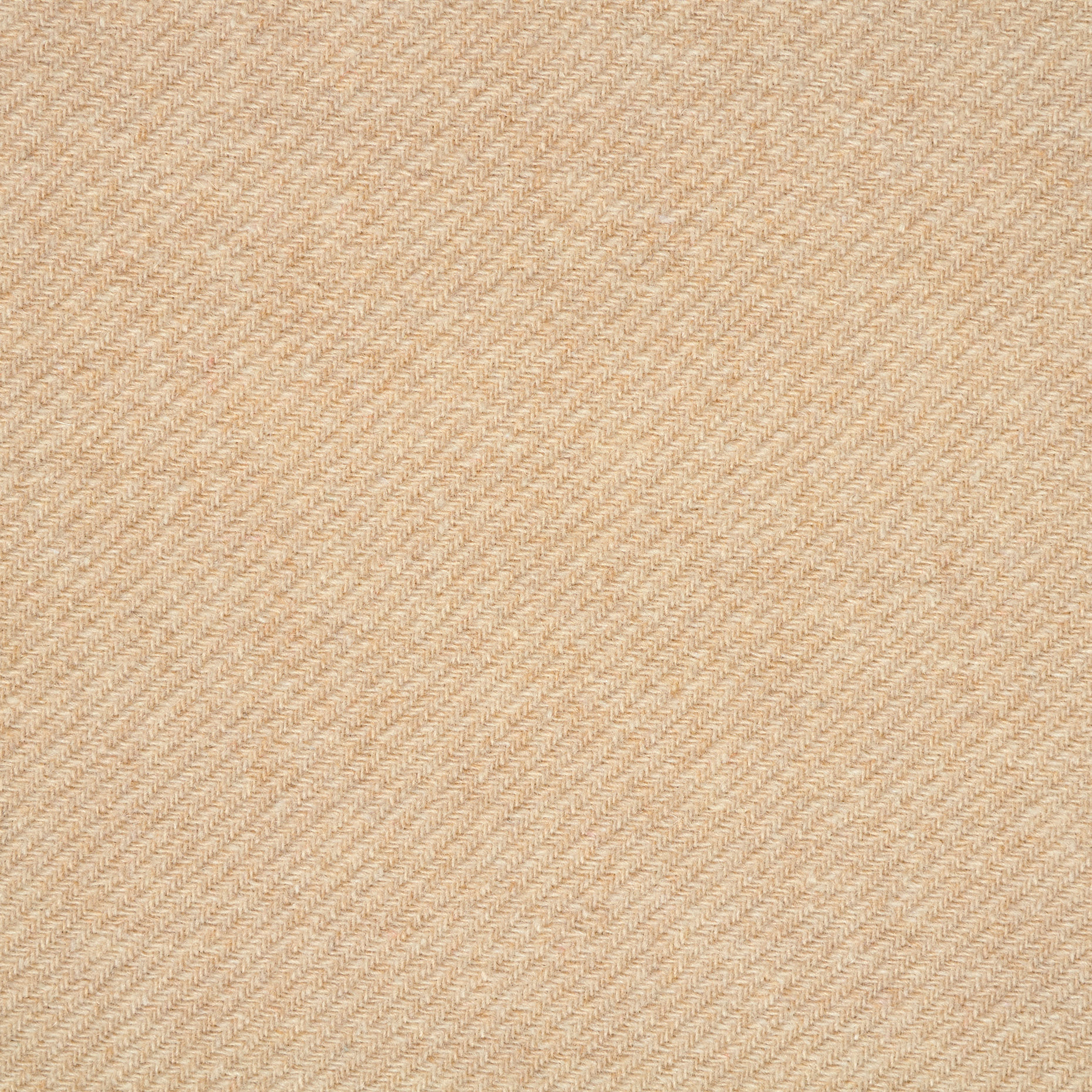 TWILL, WOOL, BONE WHITE (F000040263) - Texture