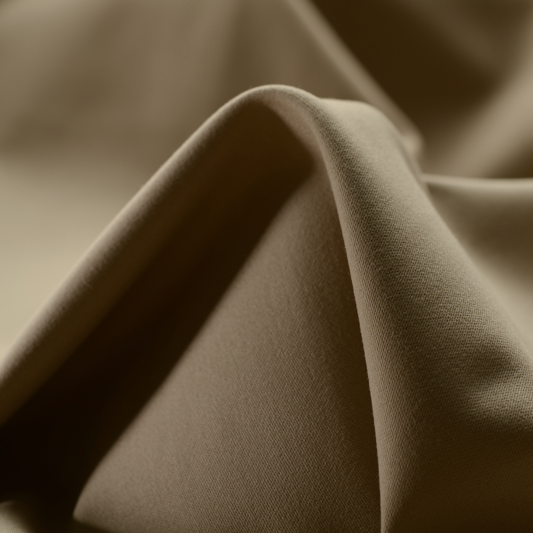 TWILL, COTTON ELASTIC, BRUSHED, BROWN RICE (F000016511)