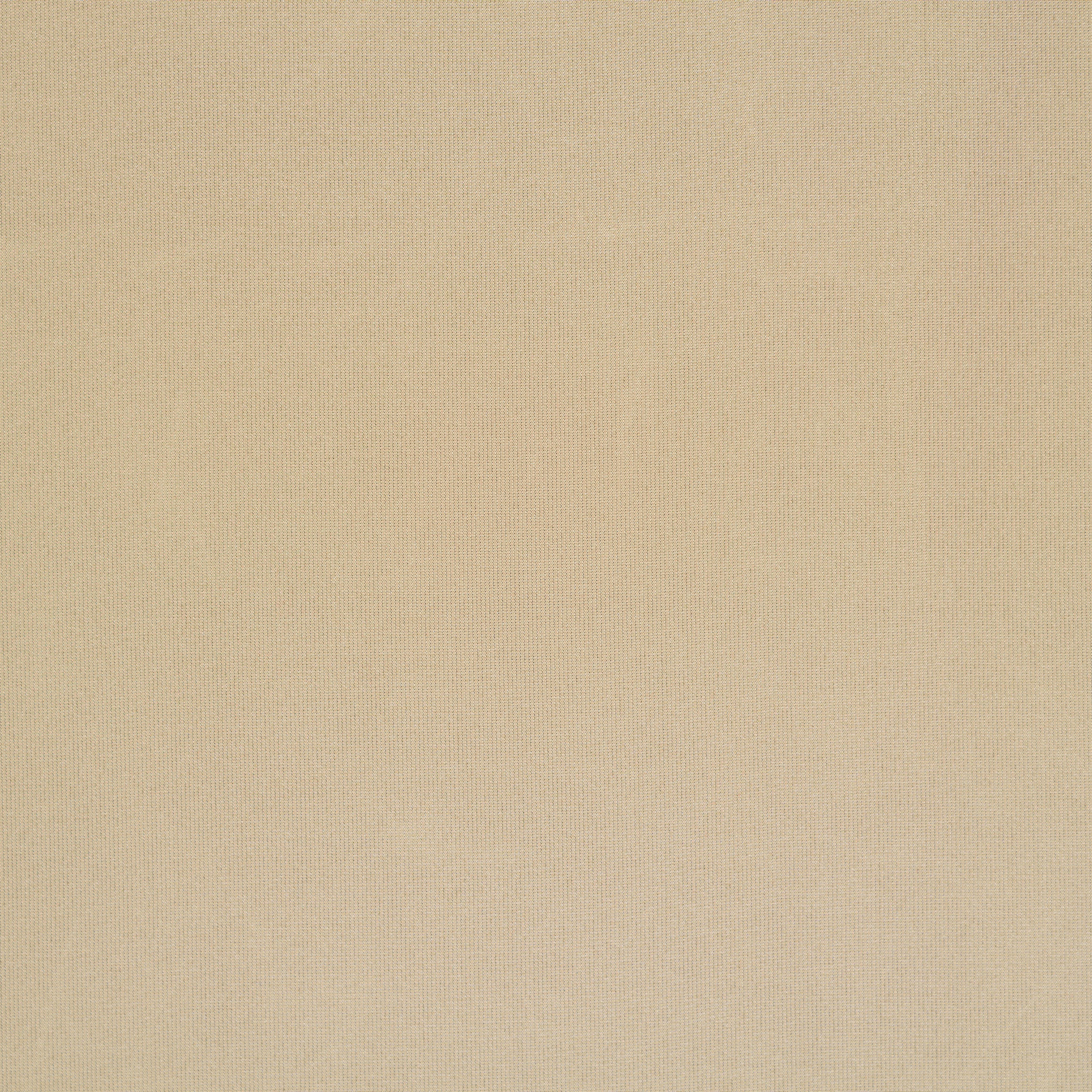 TAFFETA, EGGNOG (F000047026) - Texture