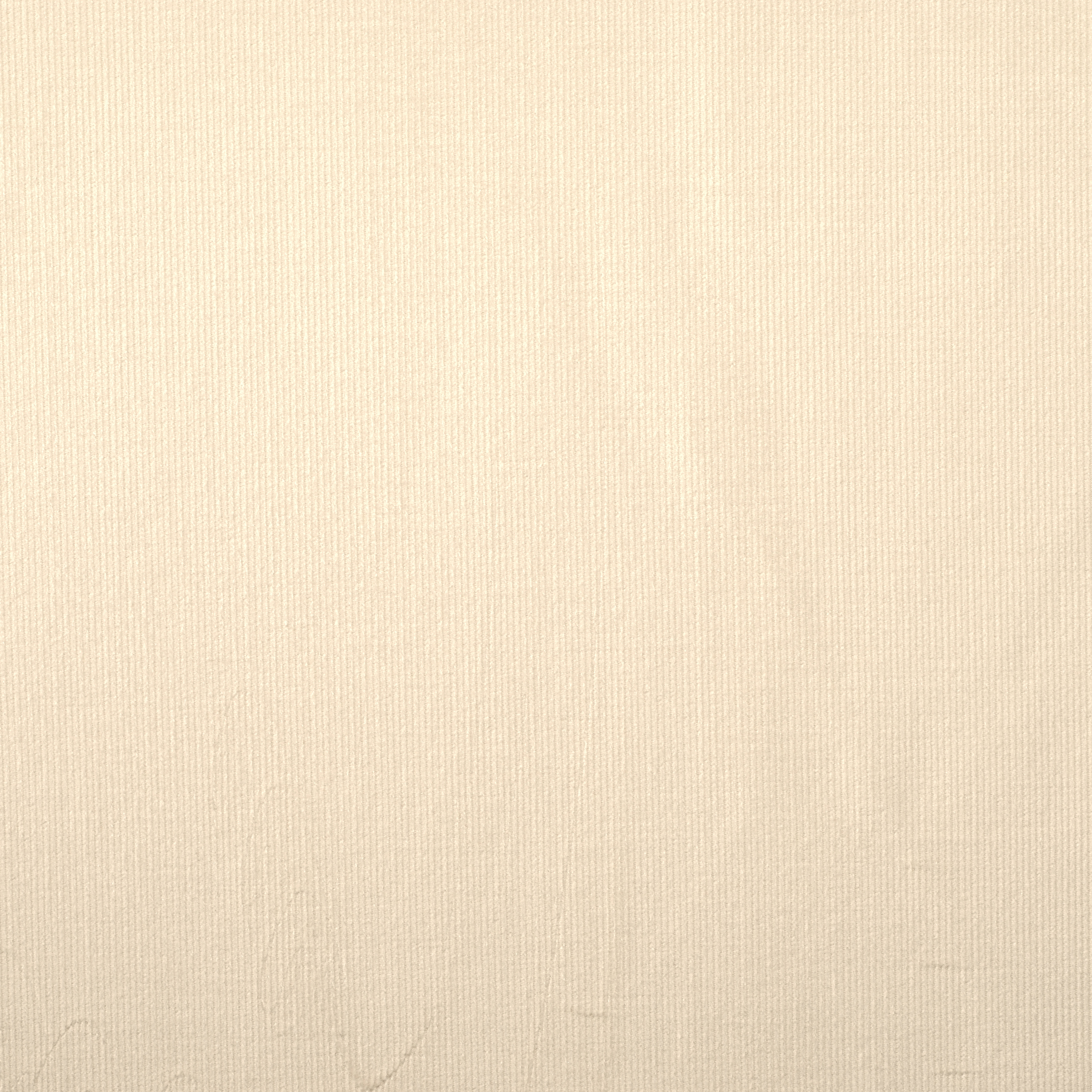 CORDUROY, COTTON, ALMOND (F0000900) - Texture