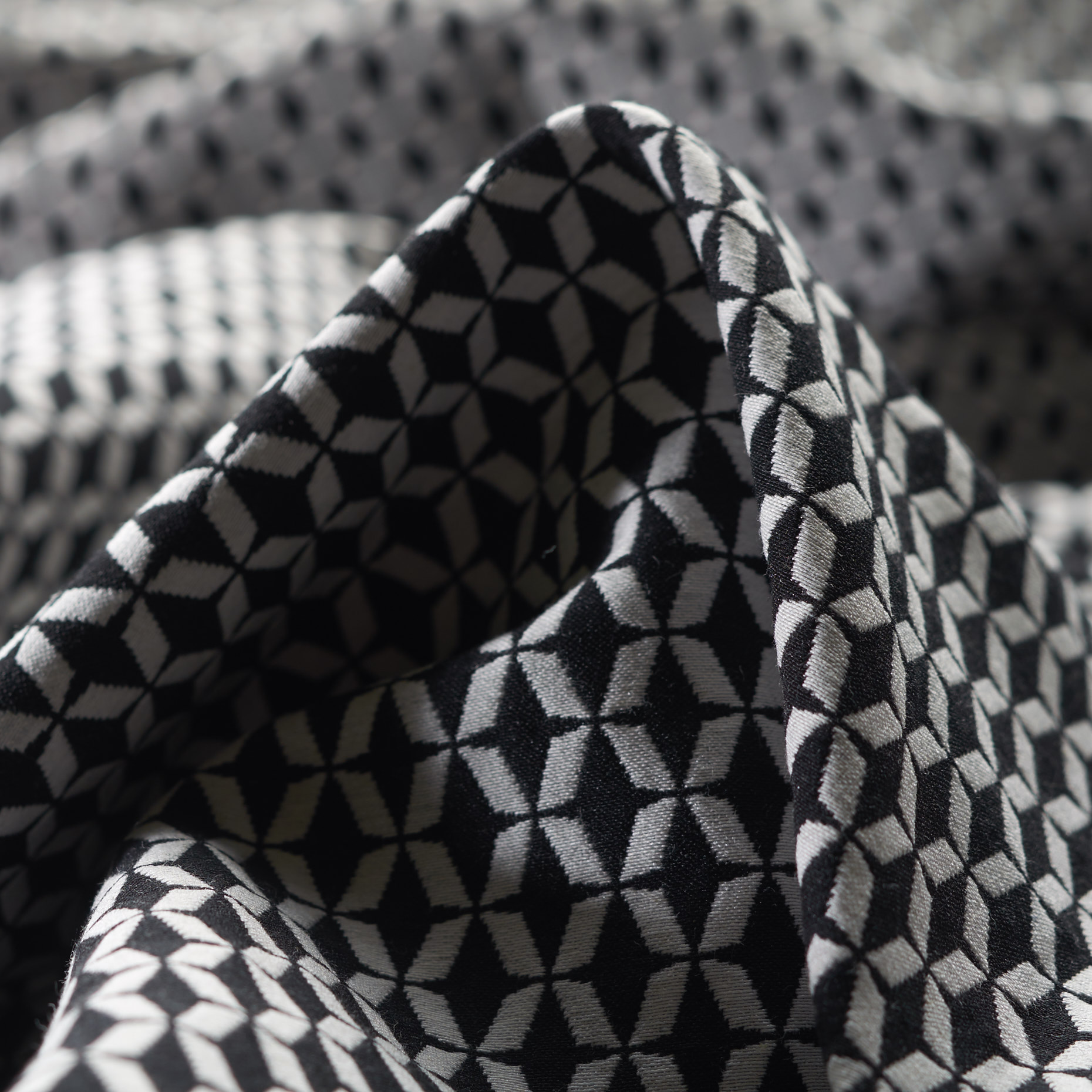 Jacquard, Algodón, Ivory&Raven Black (F000024292)