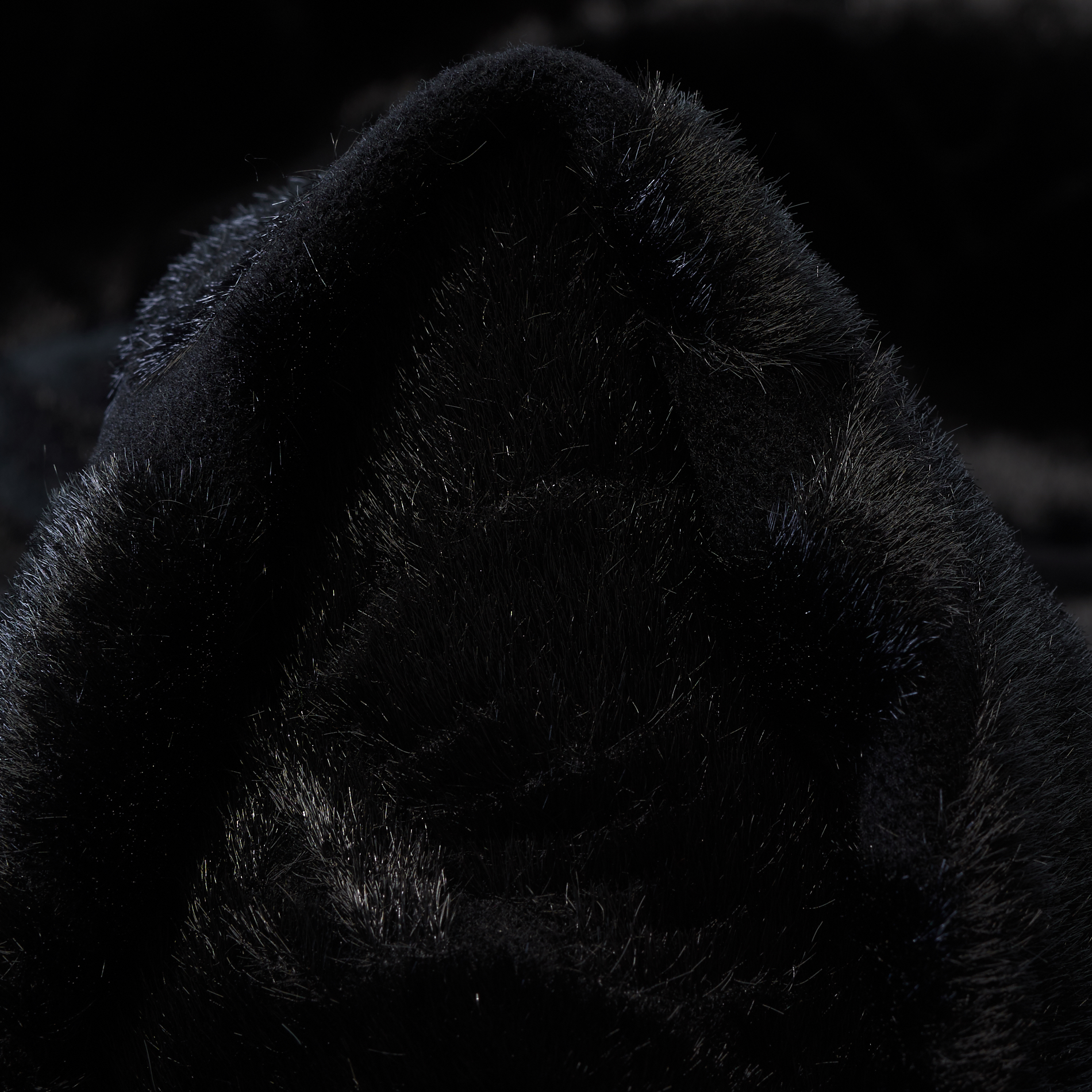 JACQUARD, WOOL, TONE ON TONE, RAVEN BLACK (F000034177)