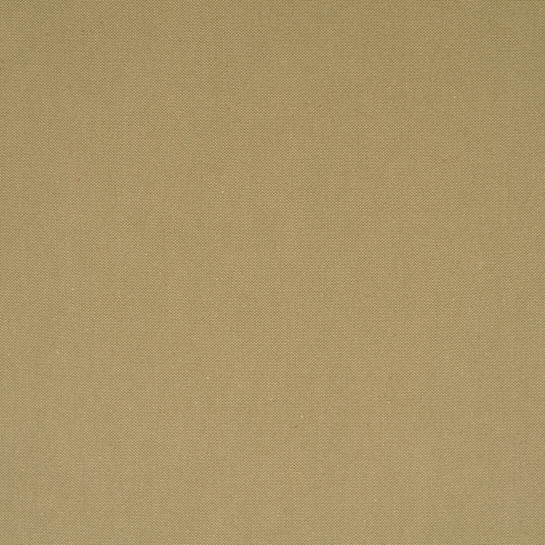 CANVAS, COTTON, FIELD OF RYE (F0000088) - Texture