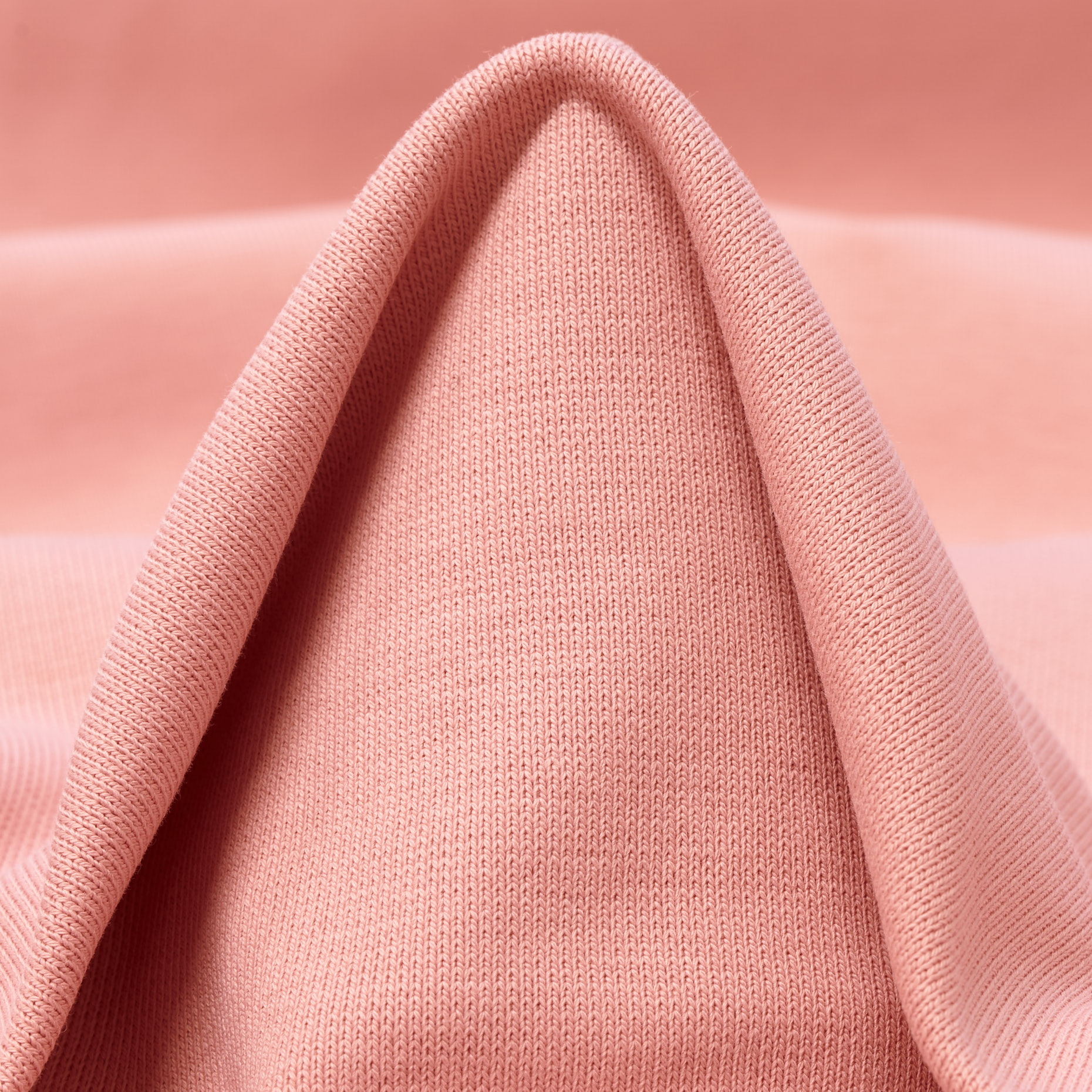 JERSEY, COTTON, LOBSTER (F000036759)