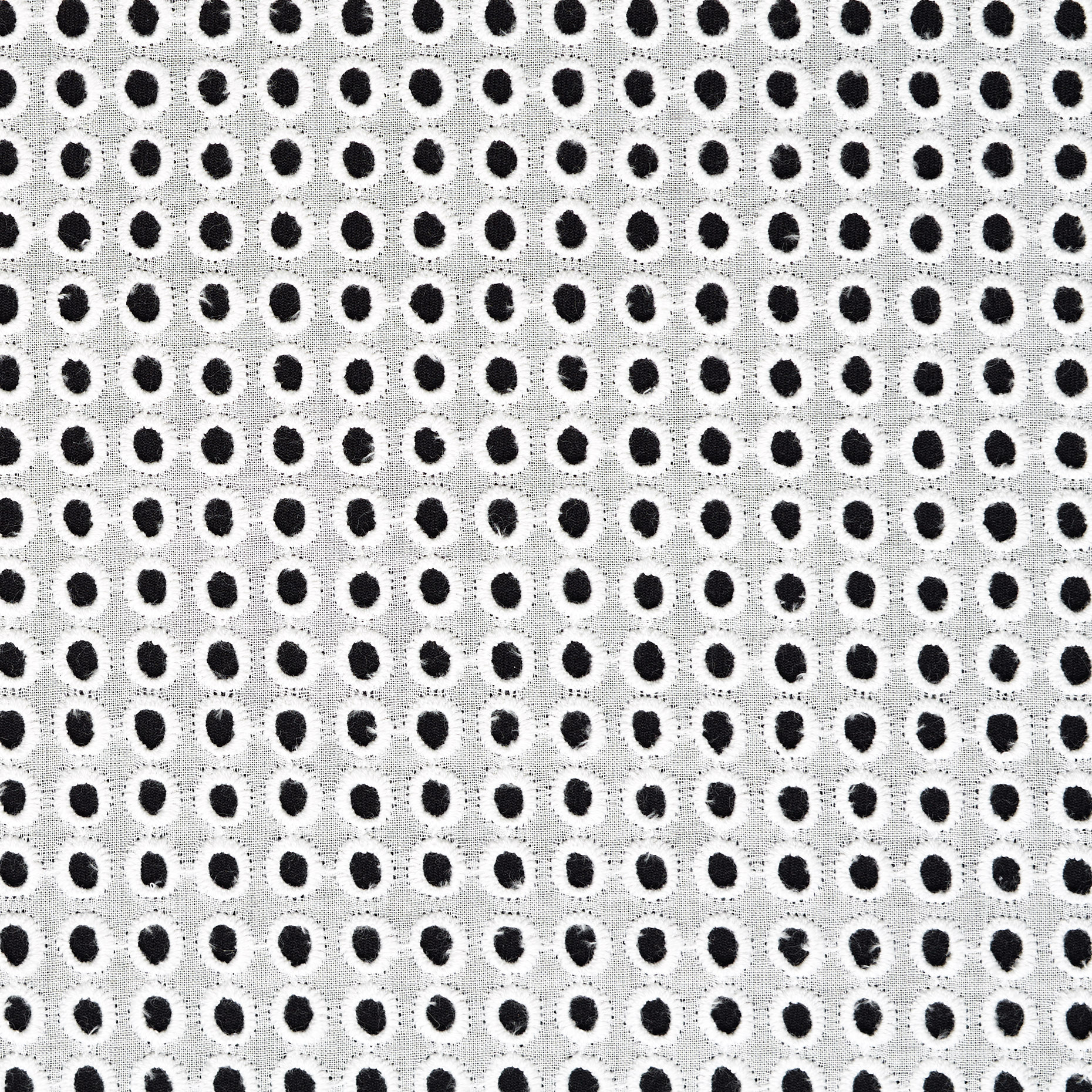 Koronka, Bawełna, Kropkowany, Snow White (F000046331) - Tkana