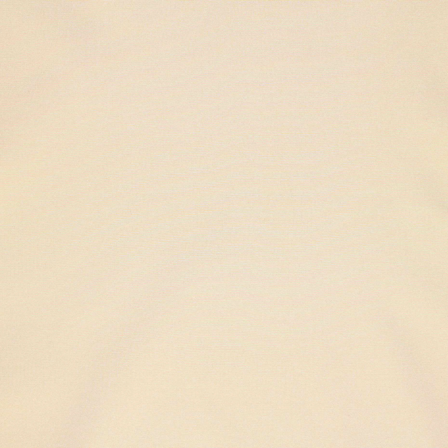 TAFFETA, PERFECTLY PALE (F000041042) - Texture