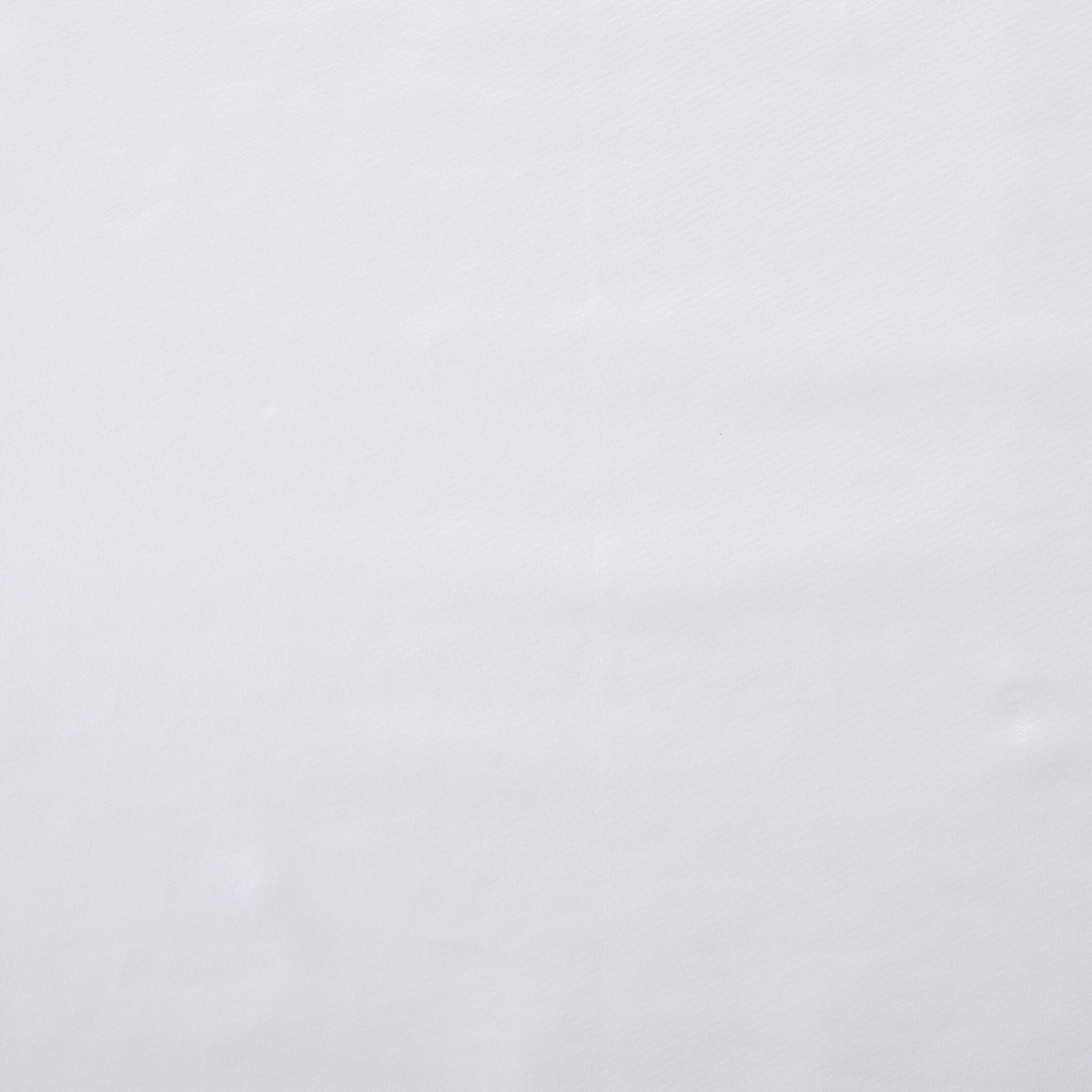 Jersey, Rivestito, Brilliant White (F000004427) - Trama